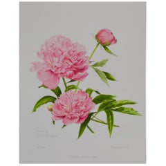 Peony Print by Françoise Piquet-Vadon for Conservatory of Peony, France