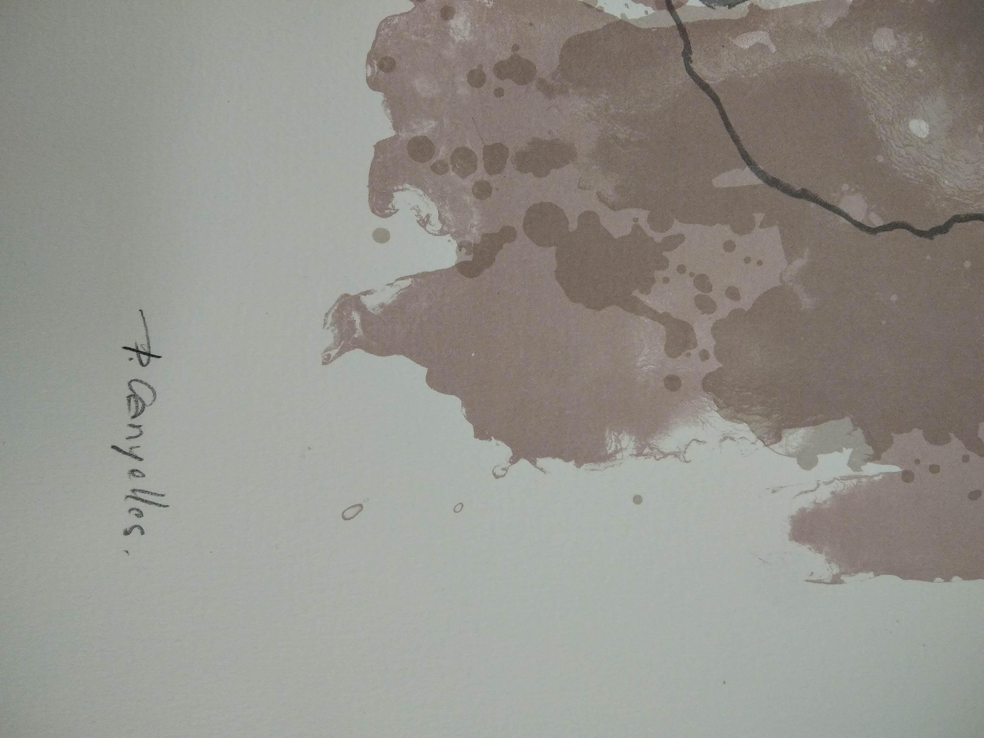 Senza titolo - Painting Astratto di Pep Canyellas 