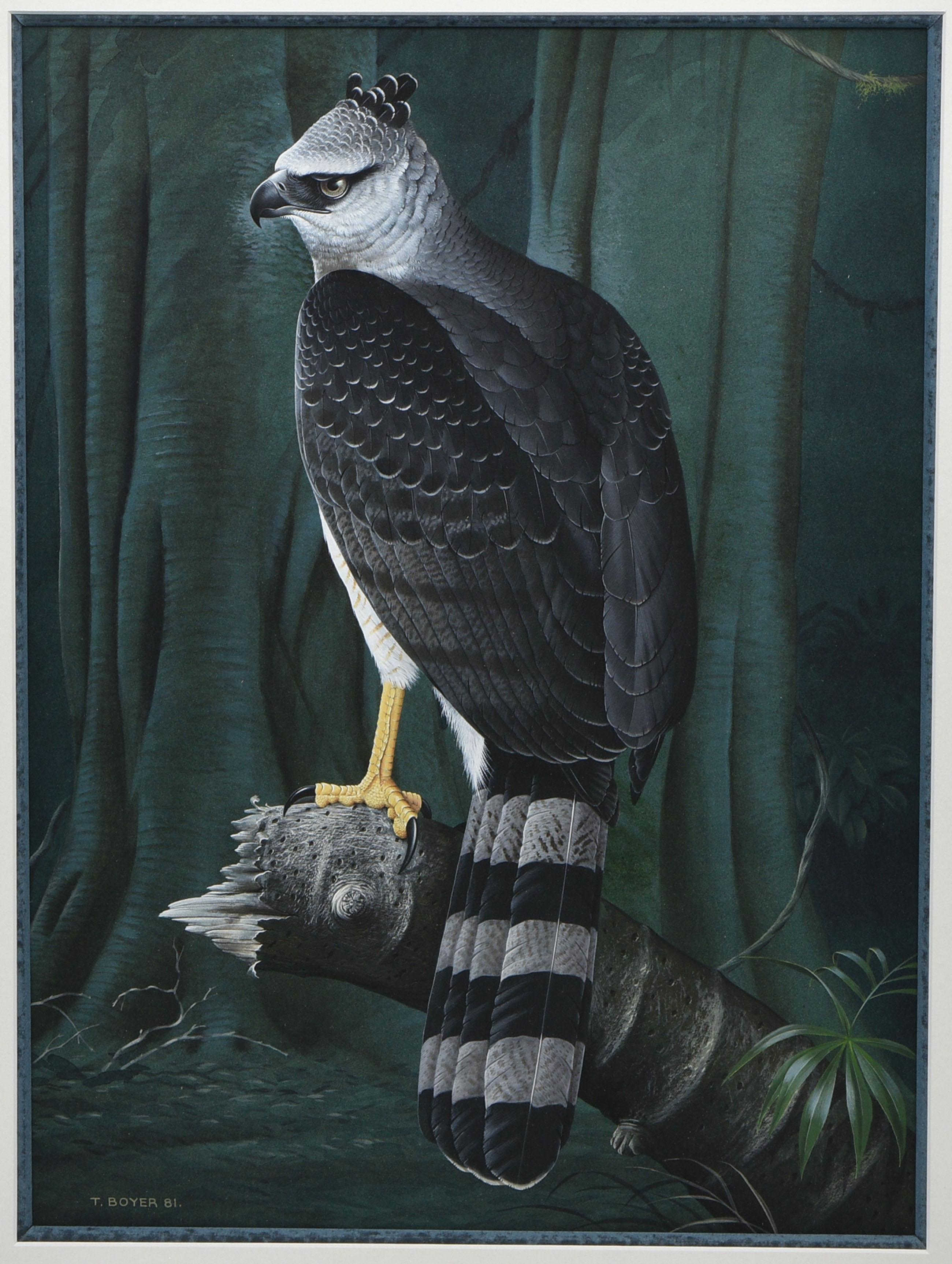 Geflügelter Adler, Aquarell von Trevor Boyer, Vogel der Beute, 1981 (Britisch) im Angebot