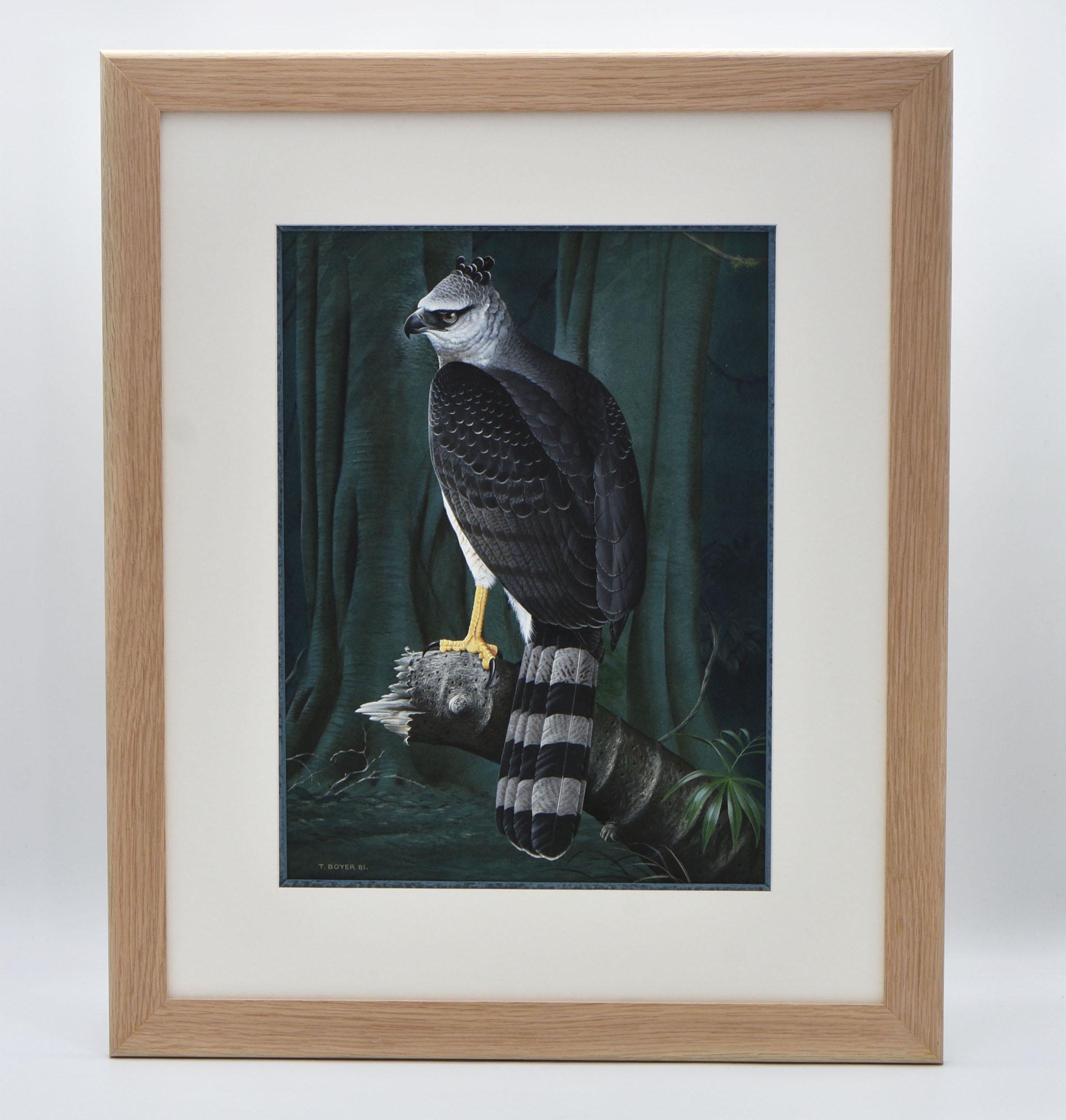 Art Glass Perched Crested Eagle 1981 Watercolour by Trevor Boyer Bird of Prey For Sale