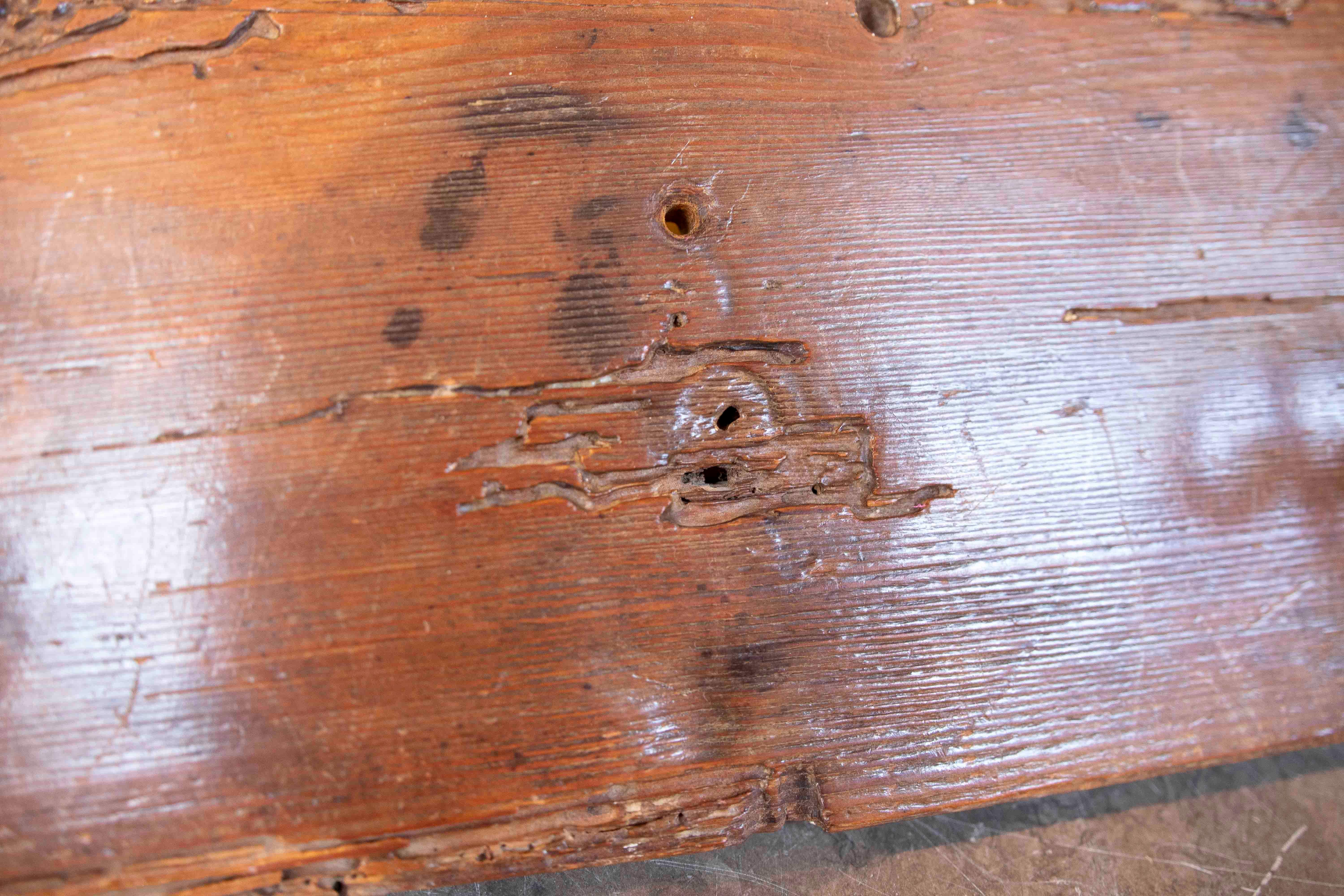 Perchero Rústico de Maderae Antigua con Ganchos de Hierro Forjado in vendita 1