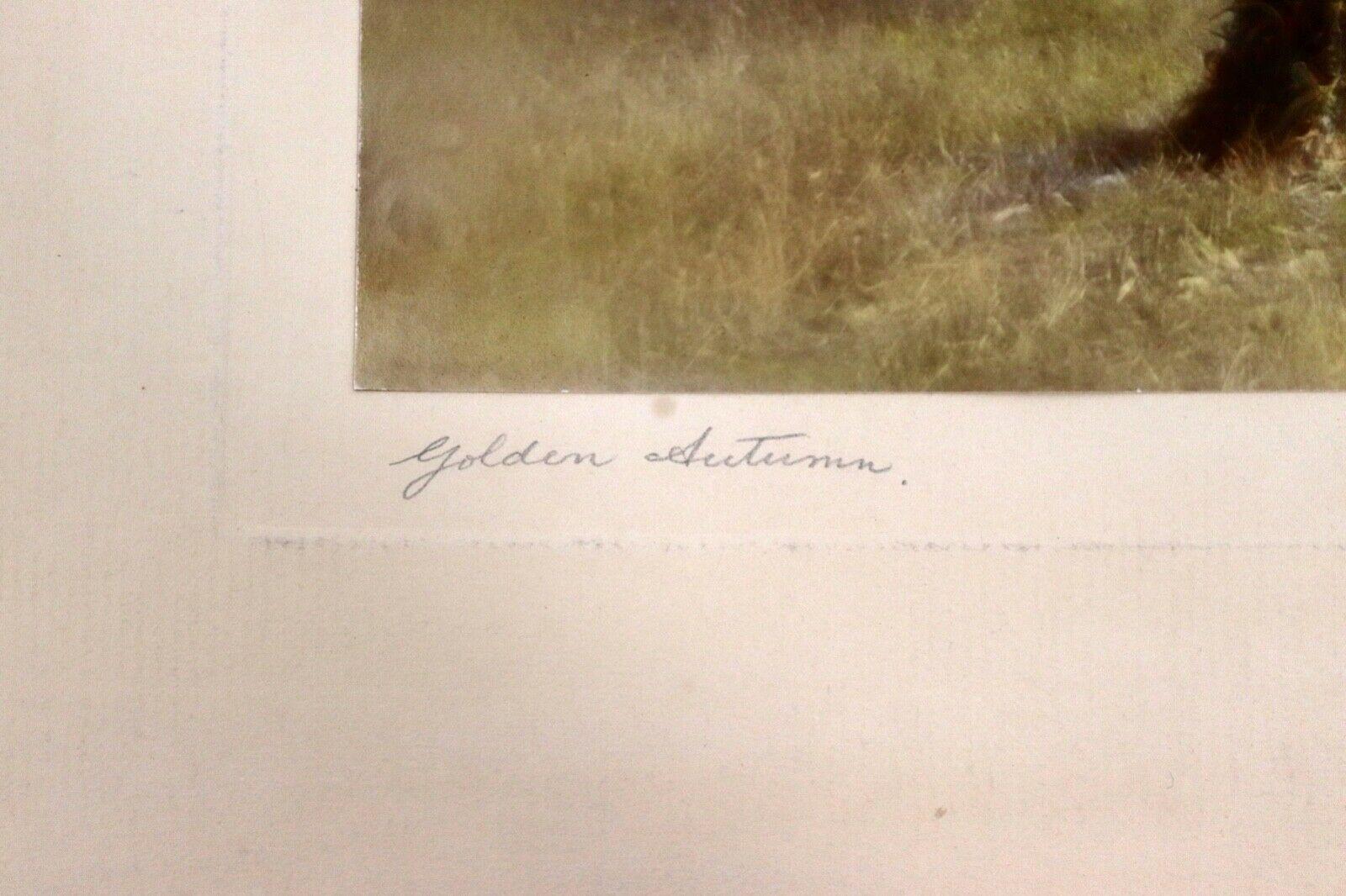 Percy Murray Golden Autumn Signed Vintage Photograph In Good Condition For Sale In Keego Harbor, MI