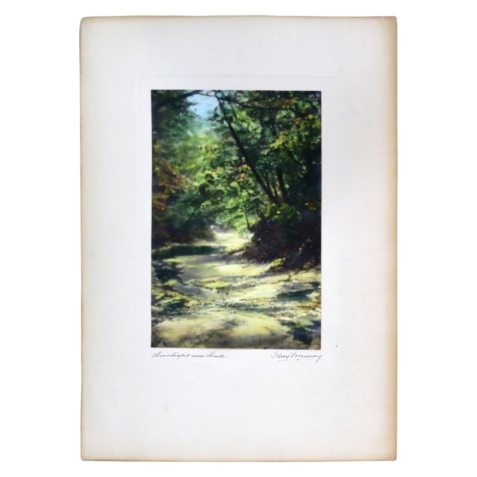 Photo vintage signée Percy Murray Sunlight and Shade