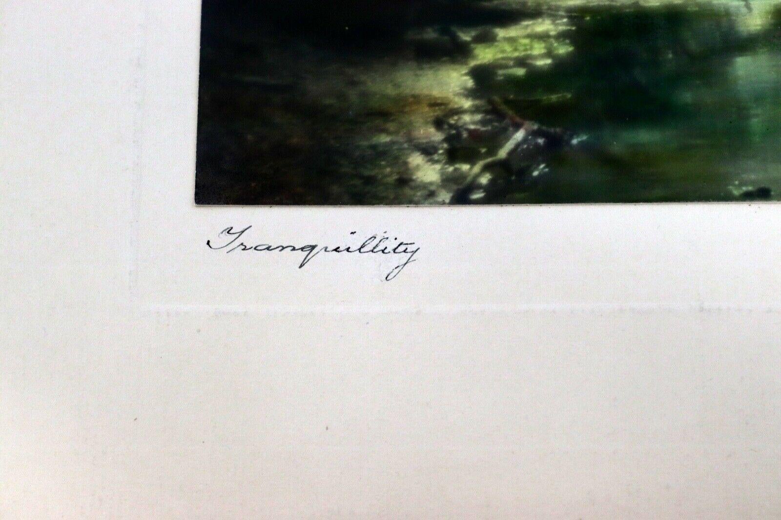 Percy Murray Traquility Signed Vintage Photograph In Good Condition For Sale In Keego Harbor, MI