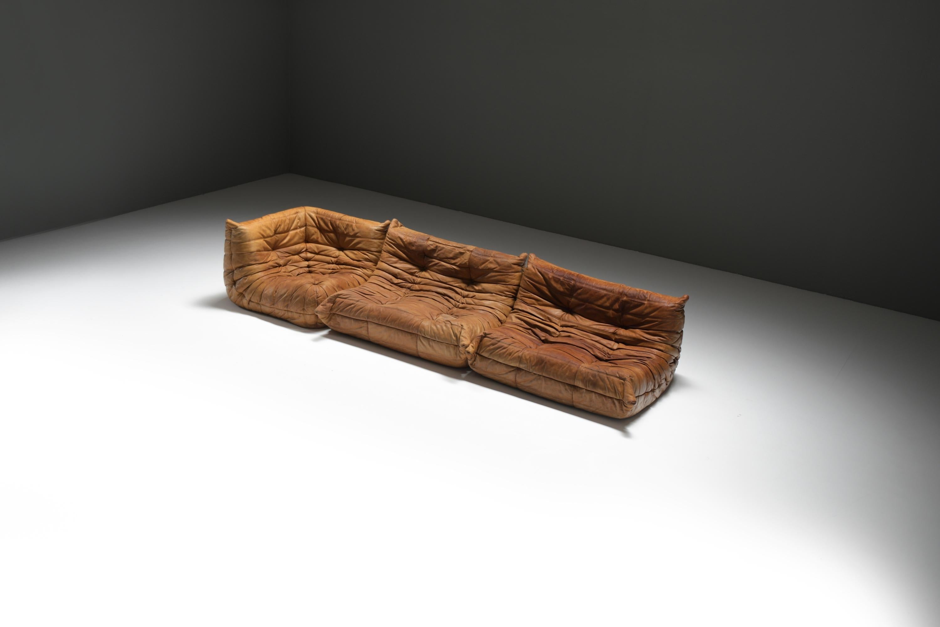 Mid-Century Modern Perfect rich patinated Togo in original leather by Michel Ducaroy - Ligne Roset For Sale