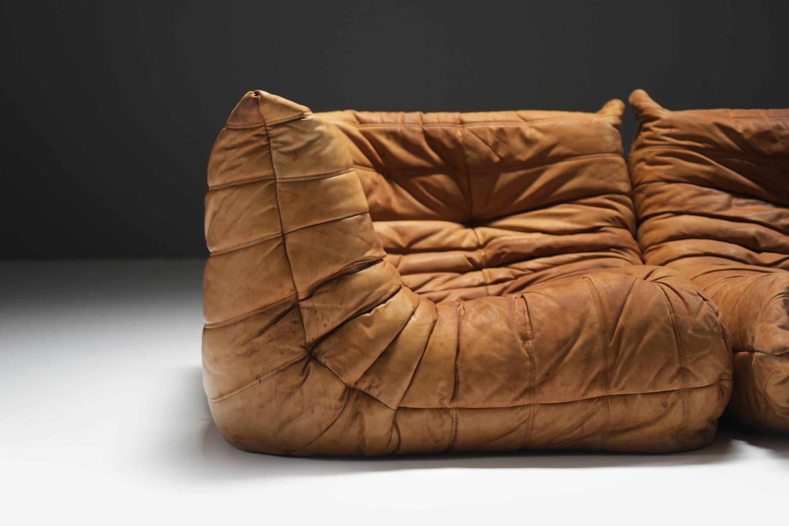 French Perfect rich patinated Togo in original leather by Michel Ducaroy - Ligne Roset For Sale