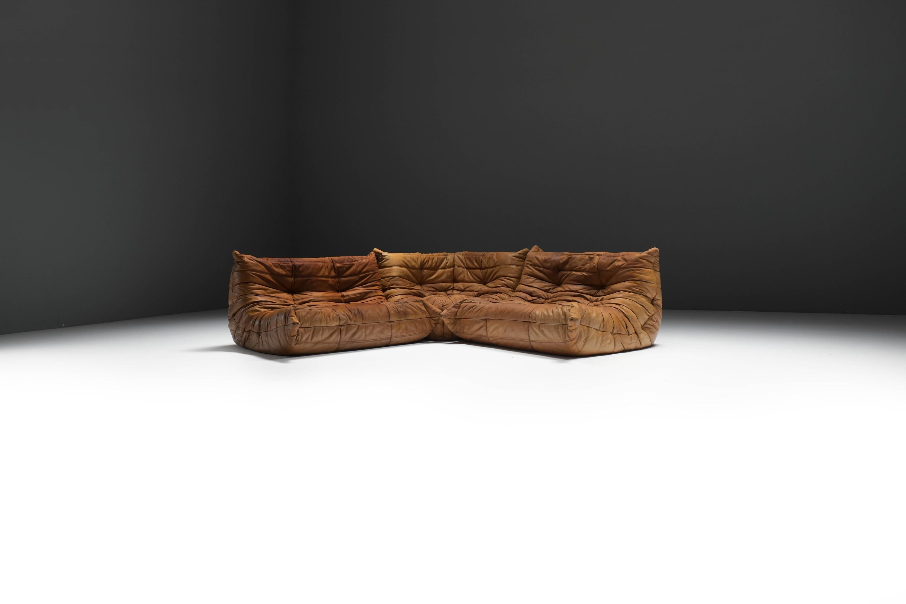 Perfect rich patinated Togo in original leather by Michel Ducaroy - Ligne Roset In Good Condition For Sale In Buggenhout, Oost-Vlaanderen
