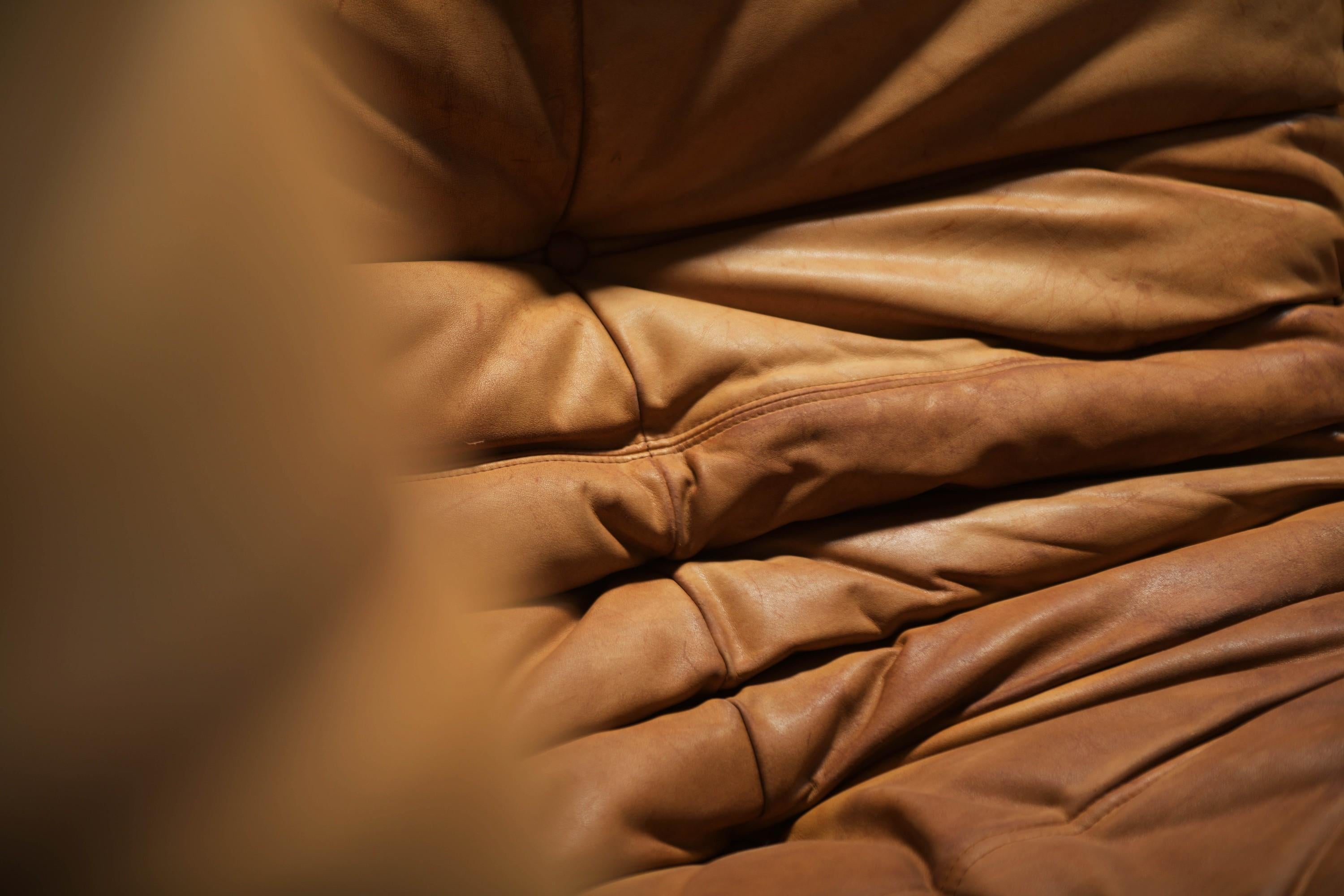 Leather Perfect rich patinated Togo in original leather by Michel Ducaroy - Ligne Roset For Sale