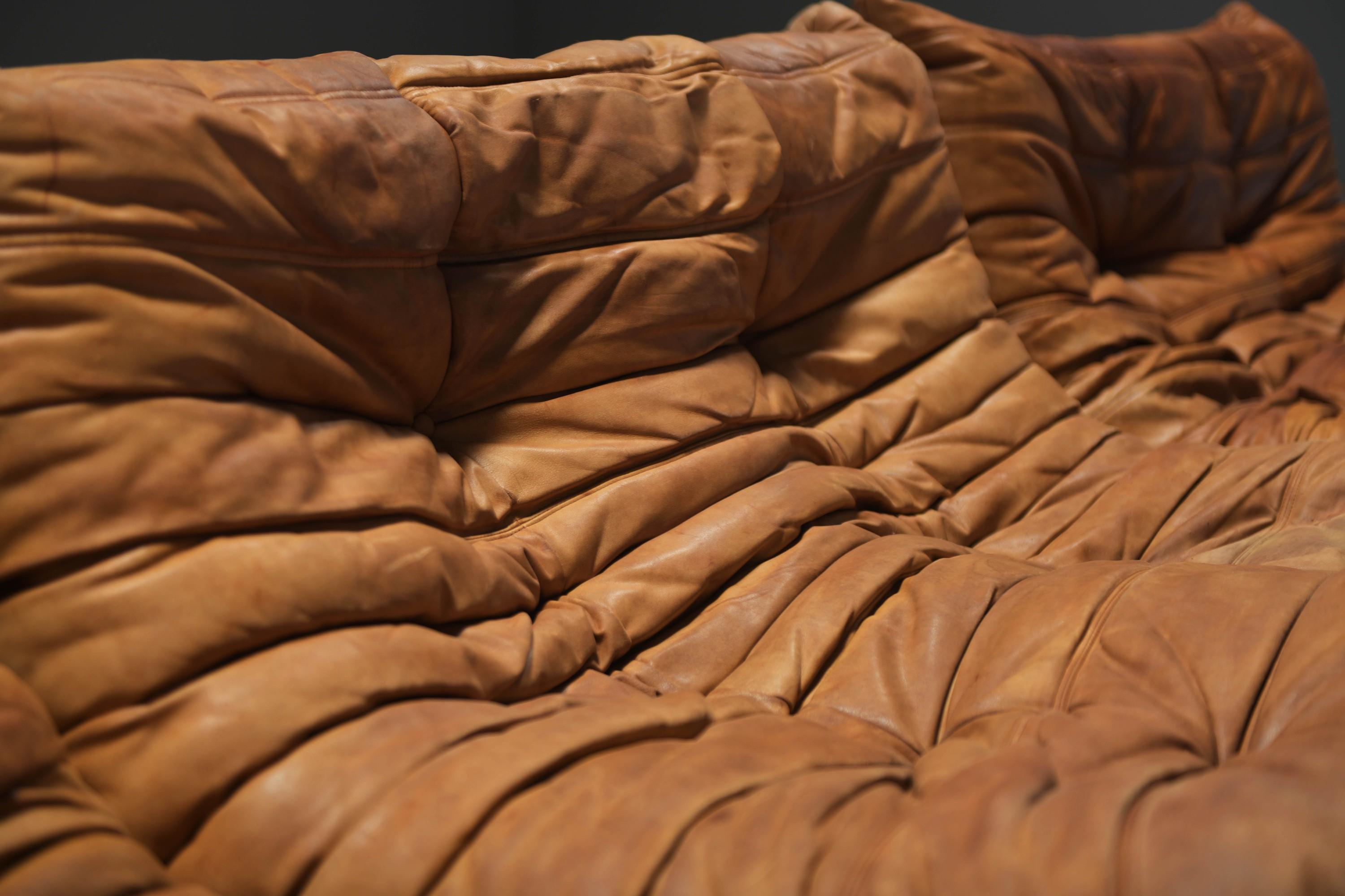 Perfect rich patinated Togo in original leather by Michel Ducaroy - Ligne Roset For Sale 1