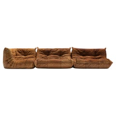 Perfekter, reich patinierter Togo aus Original-Leder von Michel Ducaroy – Ligne Roset