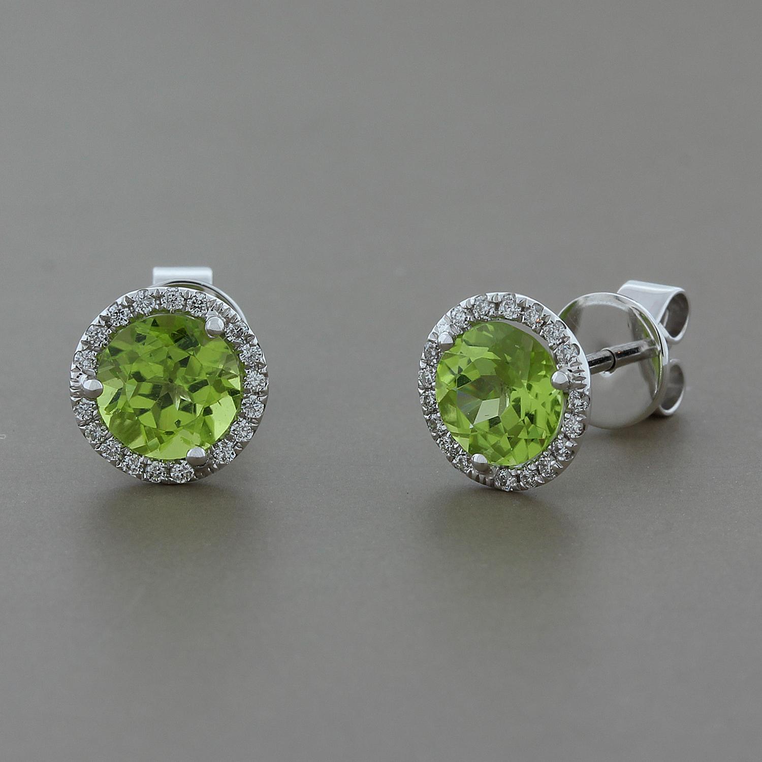 The perfect everyday stud earrings featuring 1.78 carats of round lime green peridot, in a classic halo of 0.16 carats of VS quality round white diamonds. Set in 18K white gold.

Approximately, 8 mm diameter
