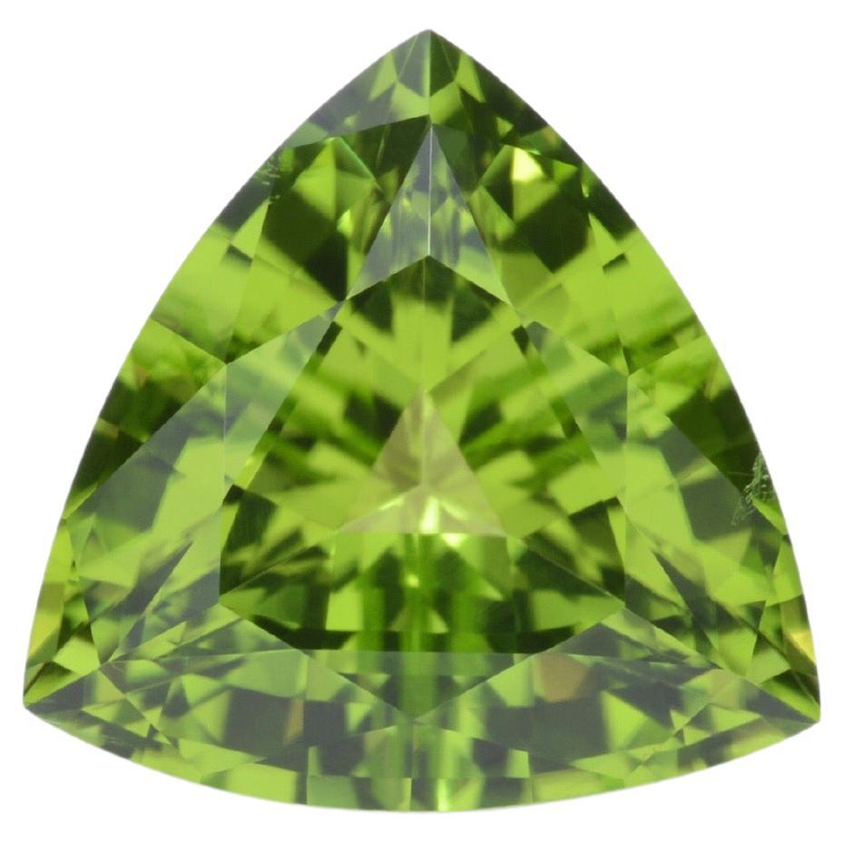 Prächtiger 4,06 Karat Peridot Trillion Edelstein, lose angeboten für einen Edelsteinliebhaber.
Abmessungen des Peridots: 10.60 mm x 10,60 mm x 6,30 mm.
Rücksendungen werden von uns innerhalb von 7 Tagen nach Lieferung angenommen und bezahlt.
Auf