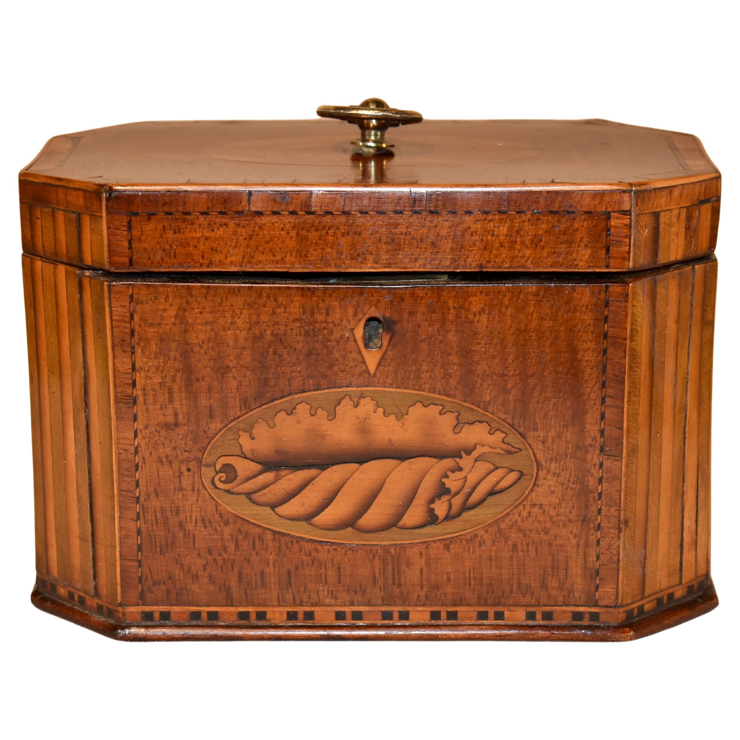 Period Georgian Tea Caddy, Circa 1790-1810