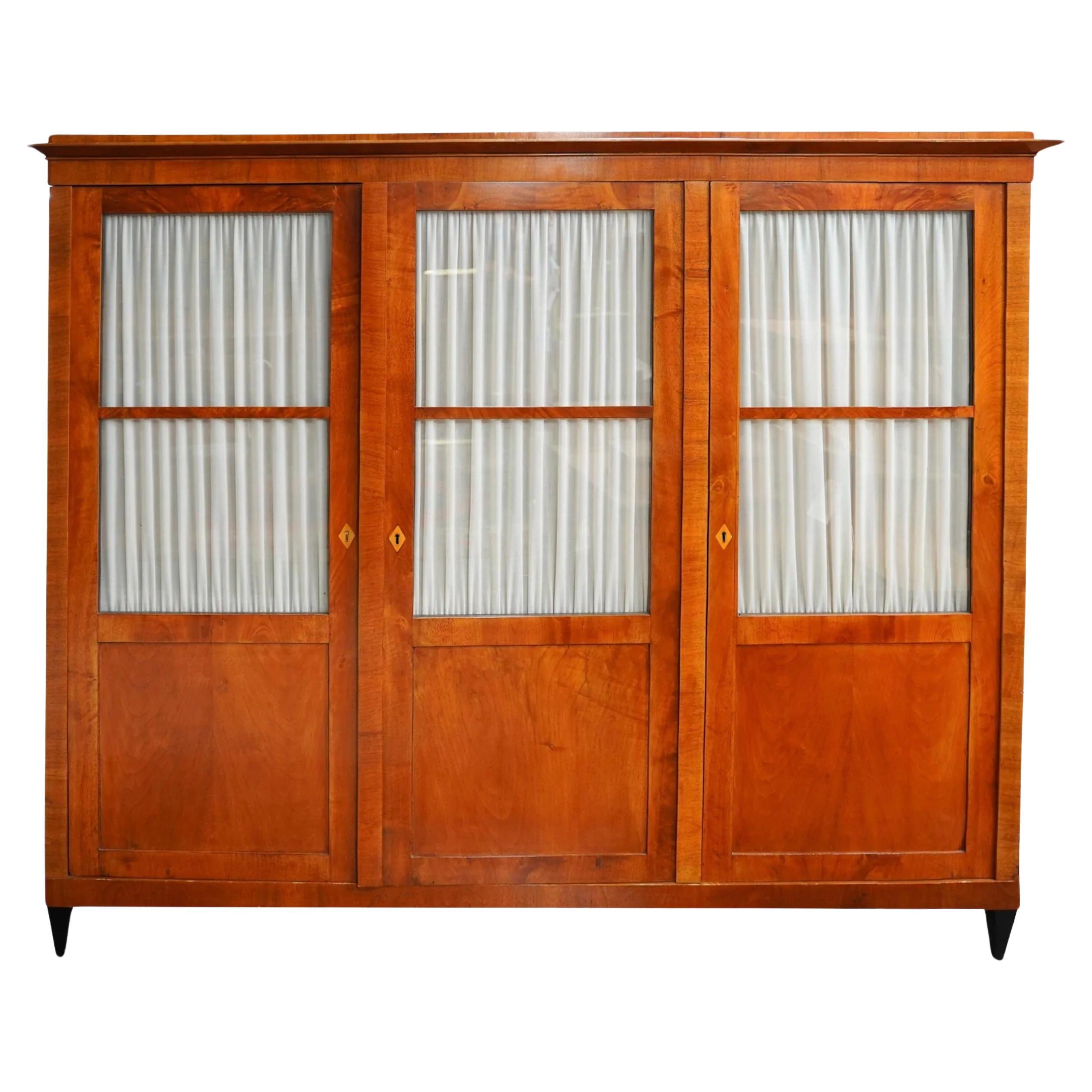 Antique Period German Biedermeier Fruitwood Glazed Door Cabinet Circa 1820 For Sale