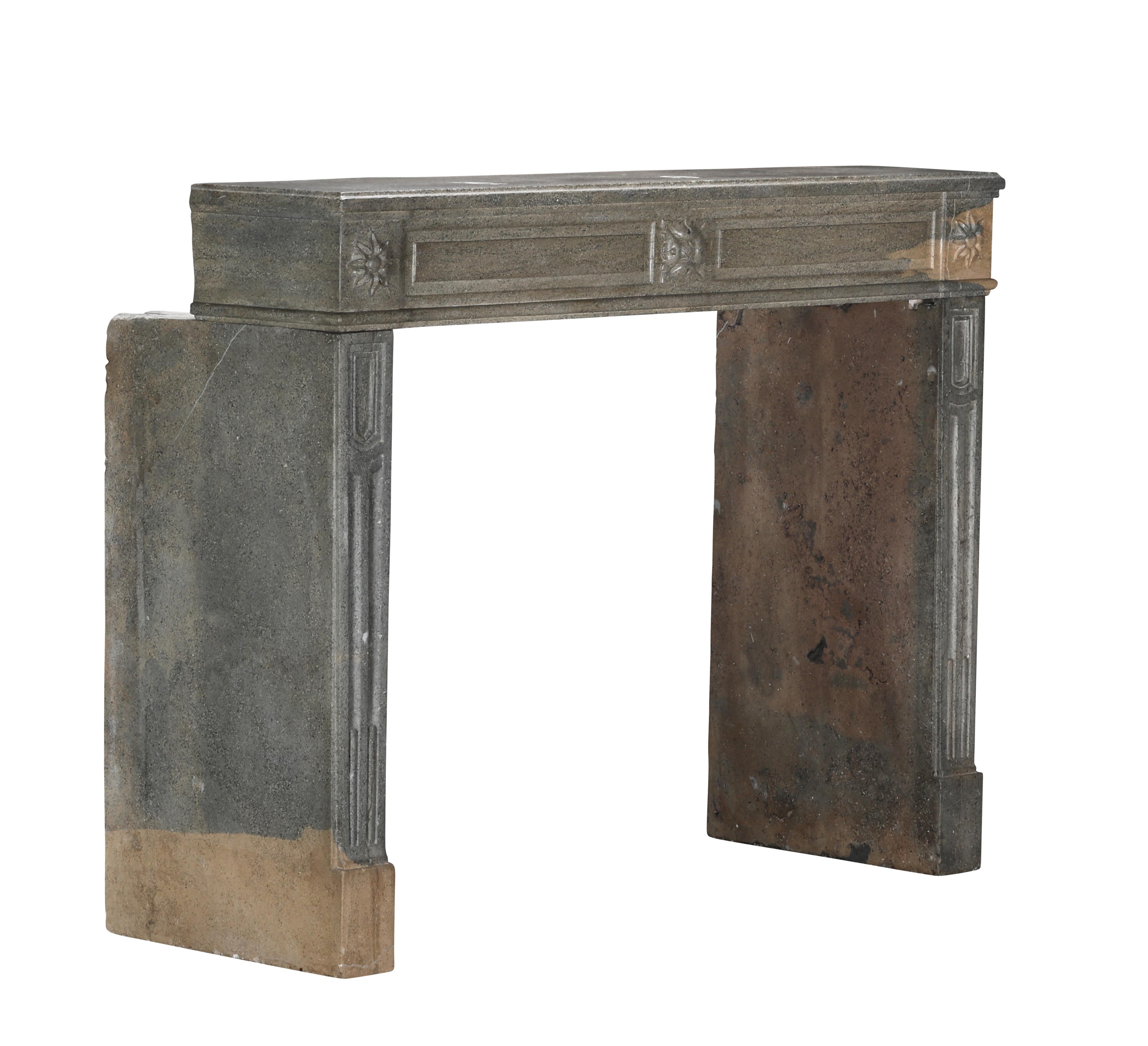 Period Louis XVI Fireplace Surround in Bicolor Hard Stone For Eclectic Design For Sale 4