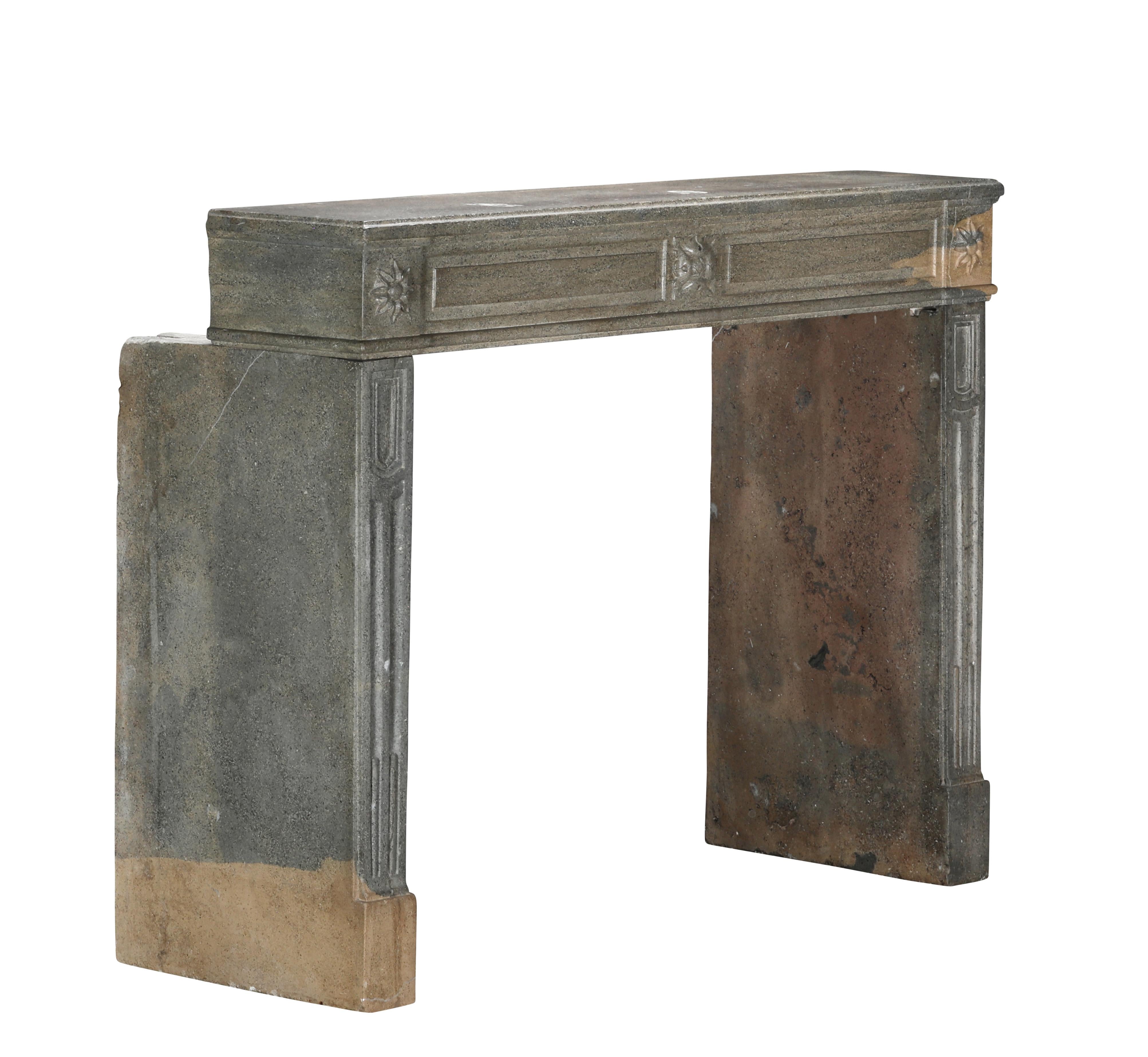 Period Louis XVI Fireplace Surround in Bicolor Hard Stone For Eclectic Design For Sale 5