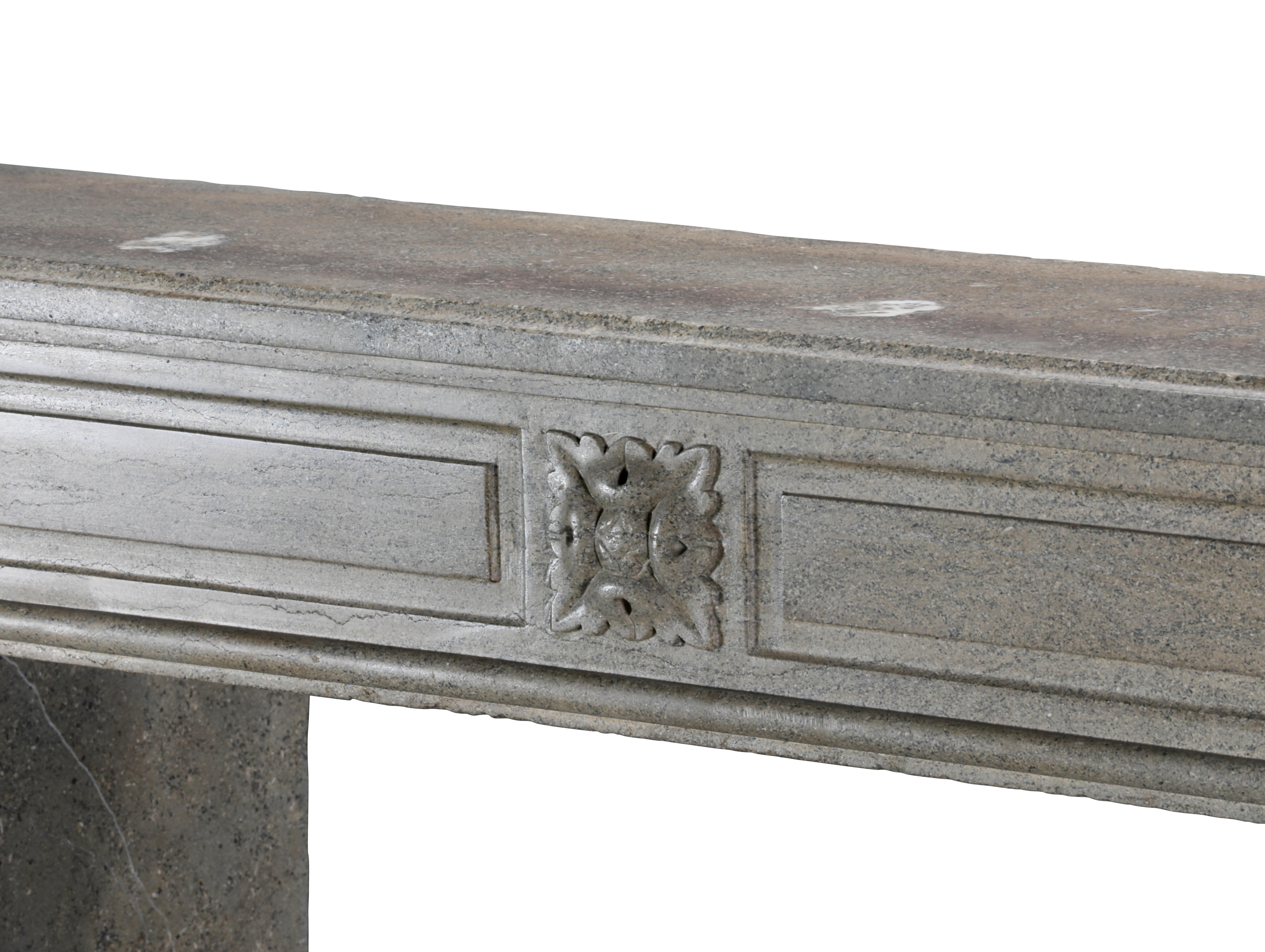 Period Louis XVI Fireplace Surround in Bicolor Hard Stone For Eclectic Design For Sale 7
