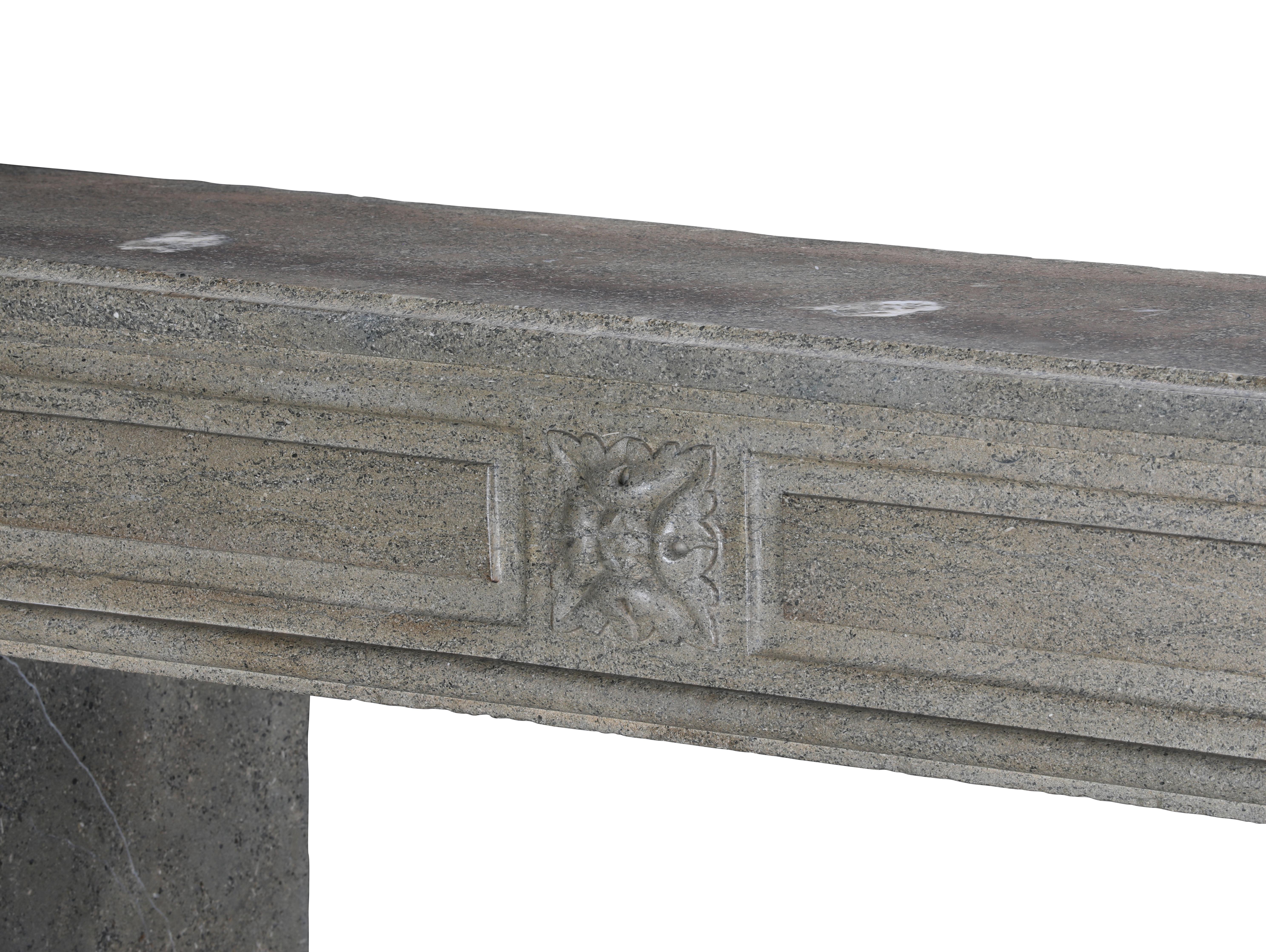 Period Louis XVI Fireplace Surround in Bicolor Hard Stone For Eclectic Design For Sale 8
