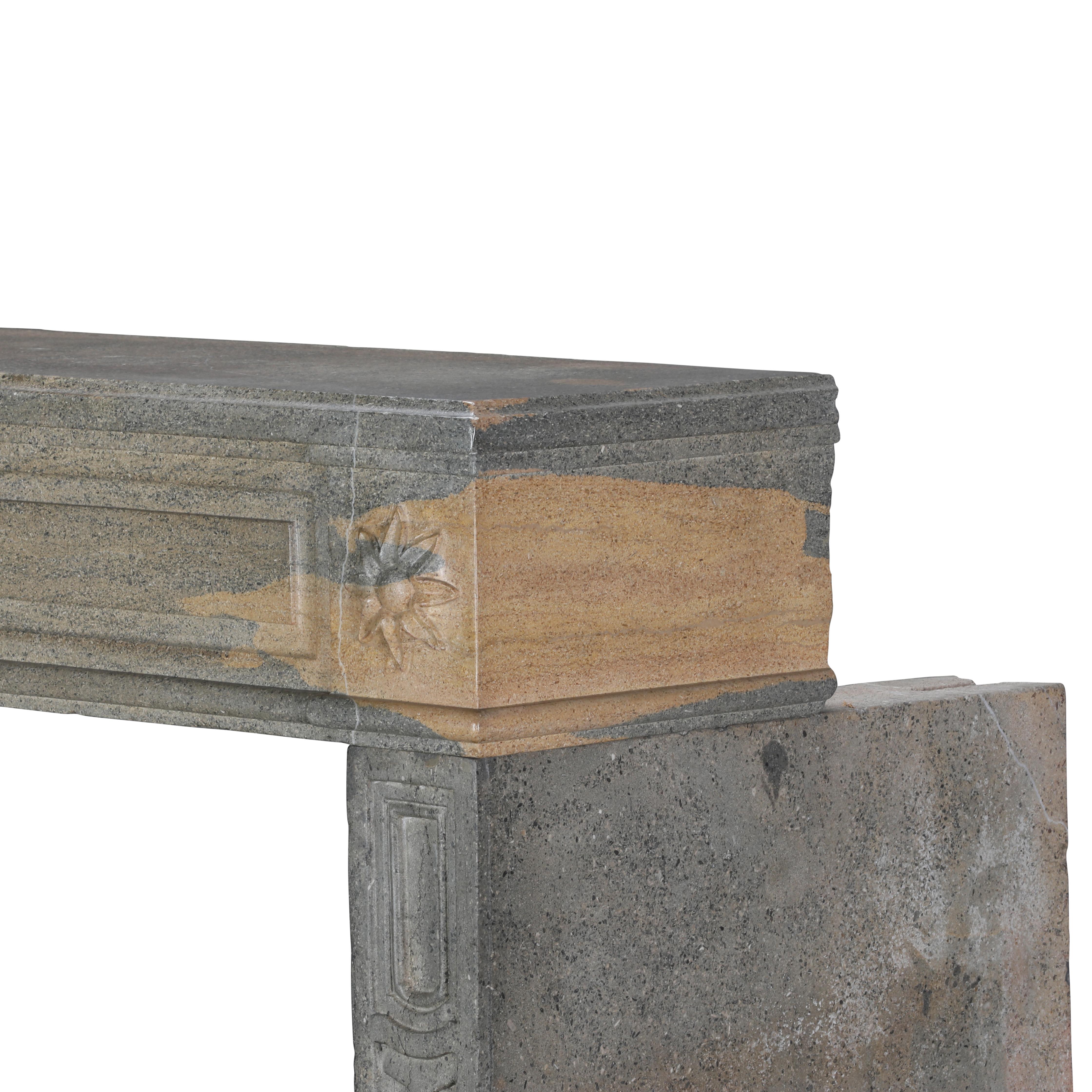 Period Louis XVI Fireplace Surround in Bicolor Hard Stone For Eclectic Design For Sale 9