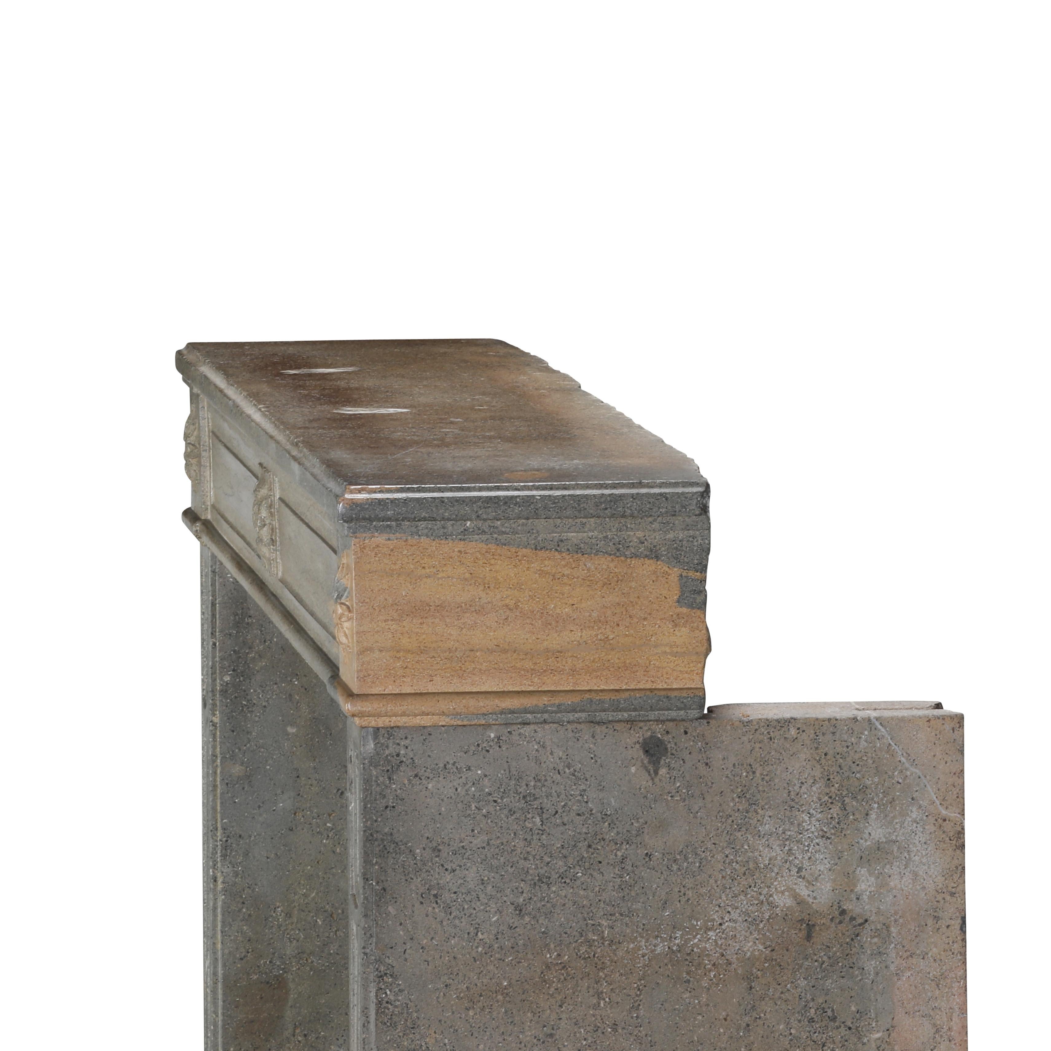 Period Louis XVI Fireplace Surround in Bicolor Hard Stone For Eclectic Design For Sale 10