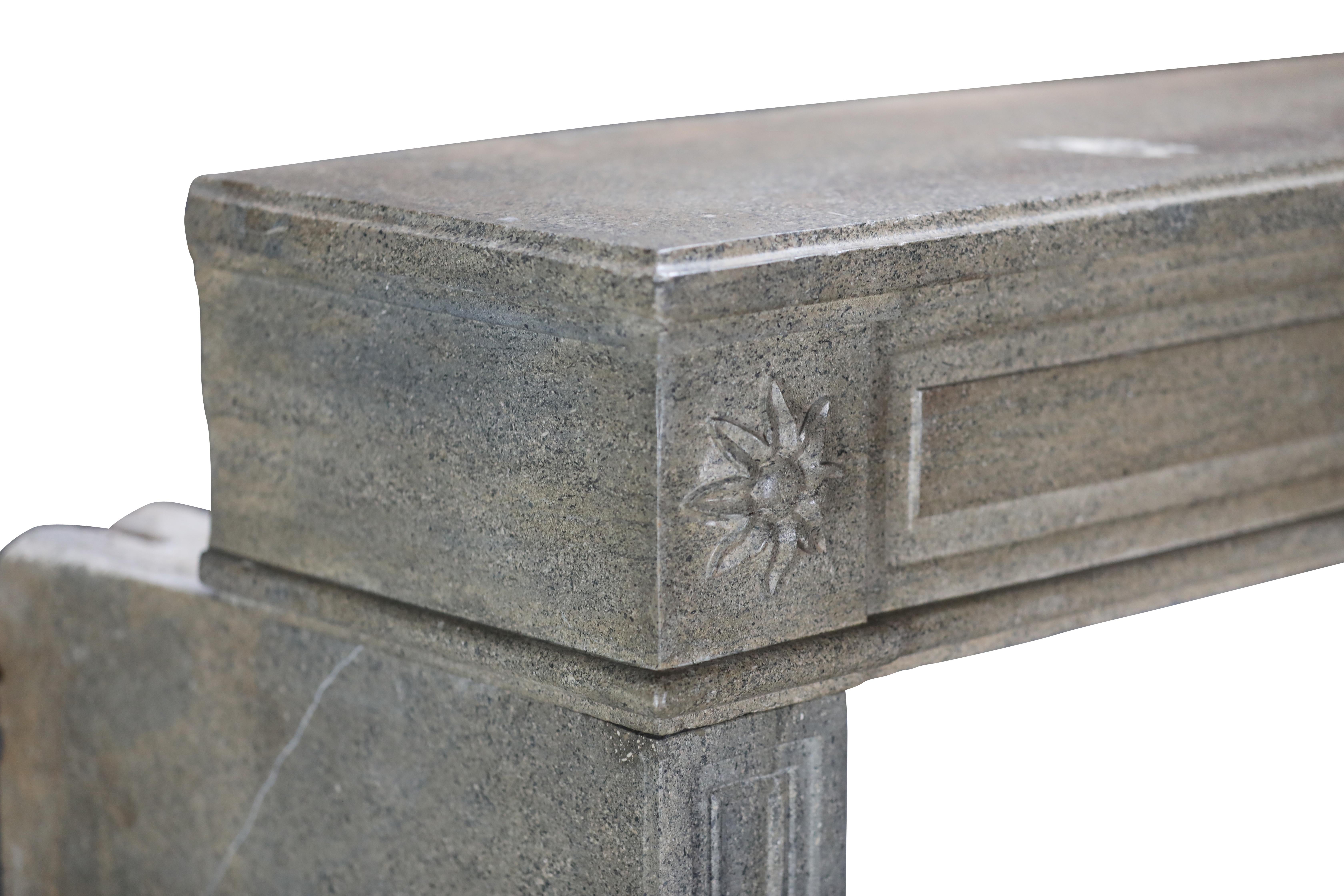 Period Louis XVI Fireplace Surround in Bicolor Hard Stone For Eclectic Design For Sale 12