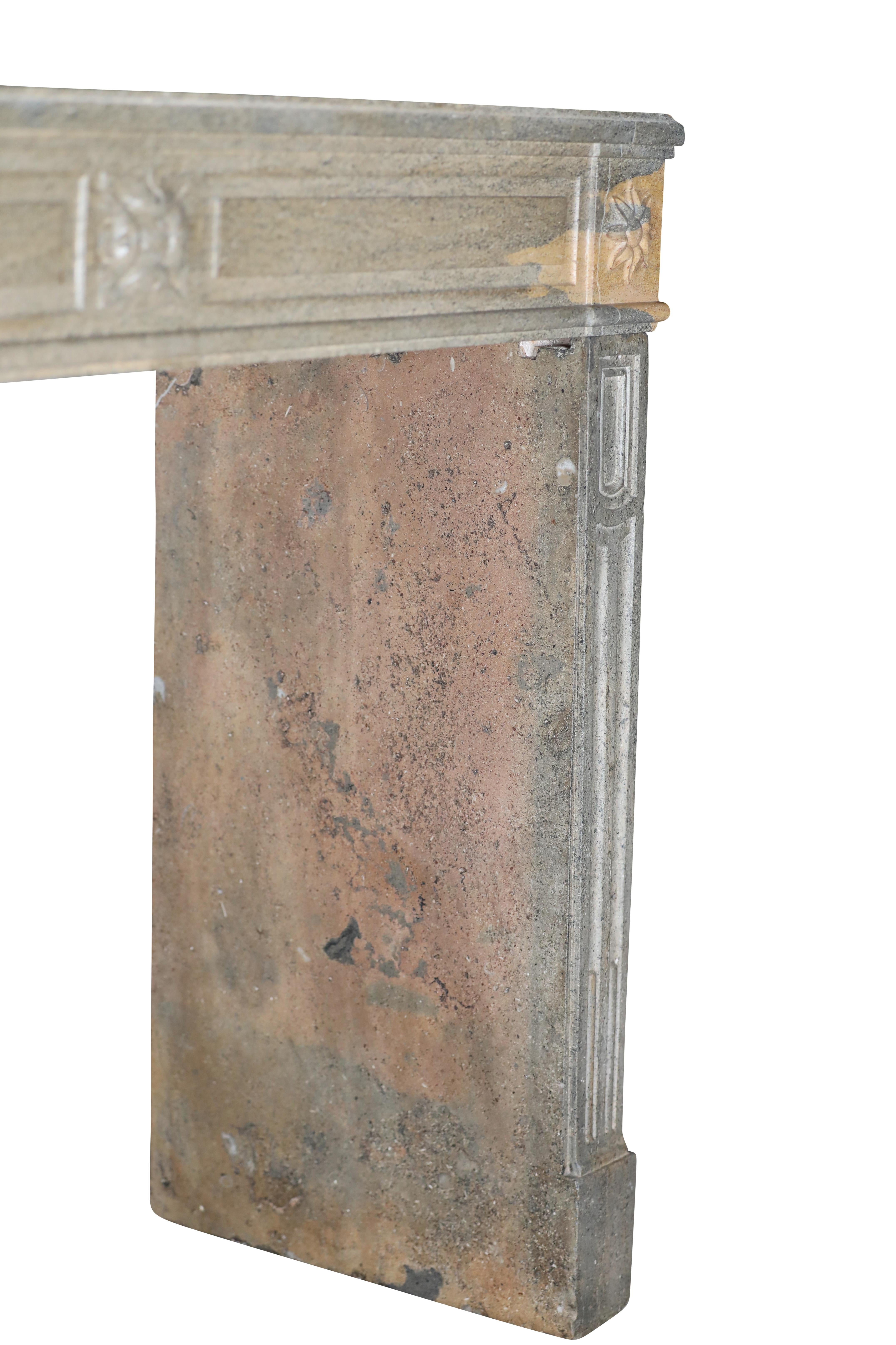 Period Louis XVI Fireplace Surround in Bicolor Hard Stone For Eclectic Design For Sale 13