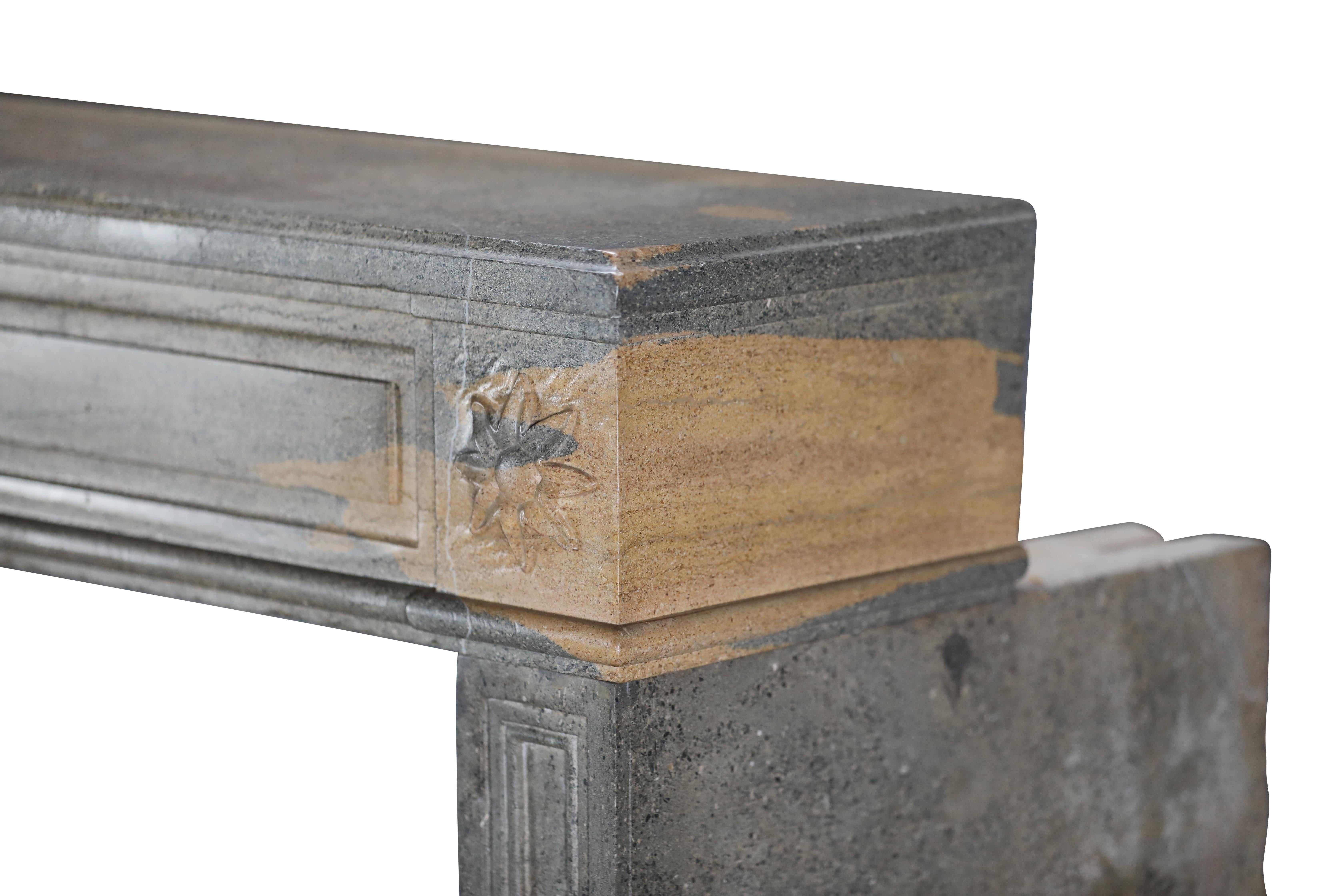 Period Louis XVI Fireplace Surround in Bicolor Hard Stone For Eclectic Design For Sale 14