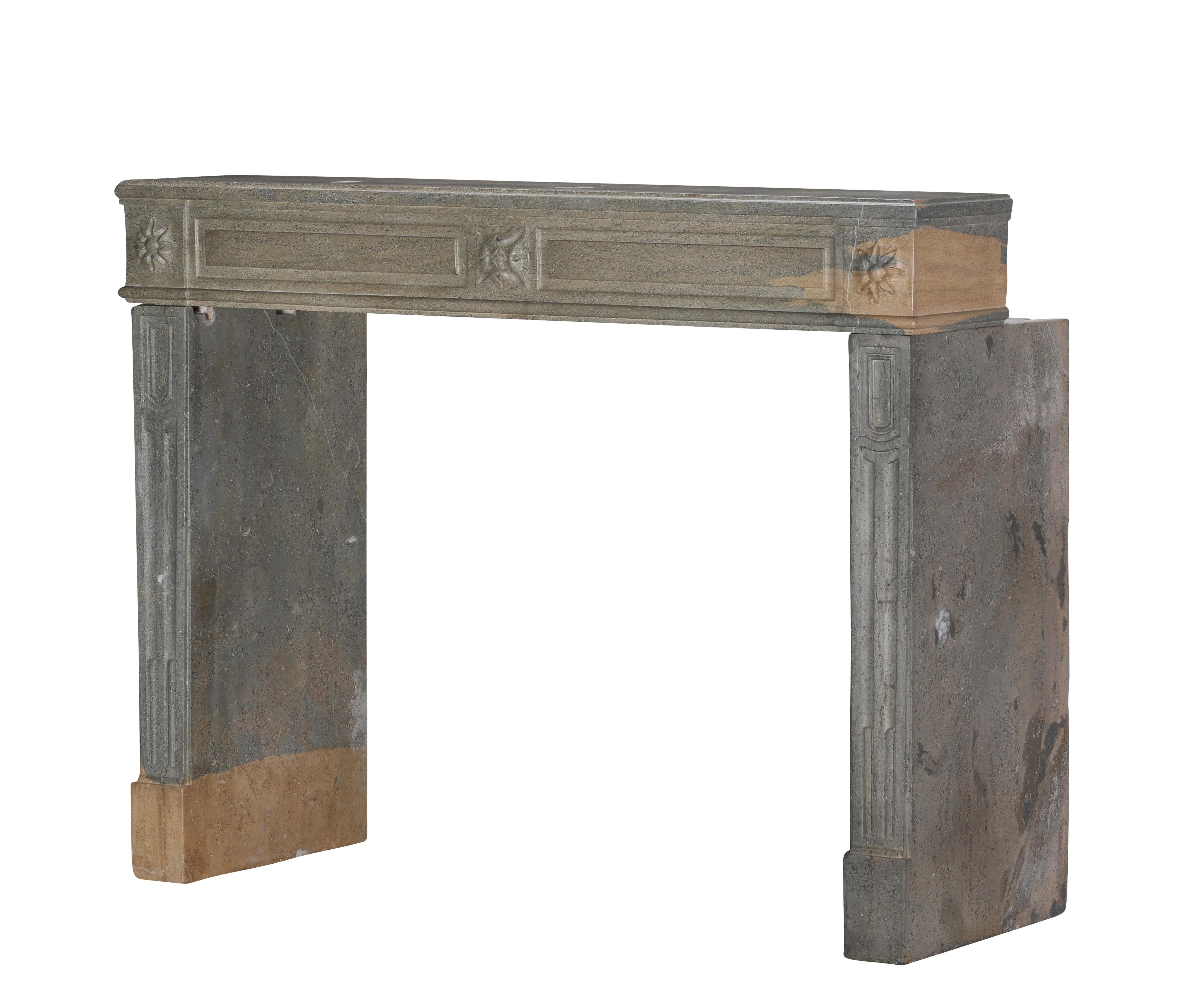 Period Louis XVI Fireplace Surround in Bicolor Hard Stone For Eclectic Design For Sale 1