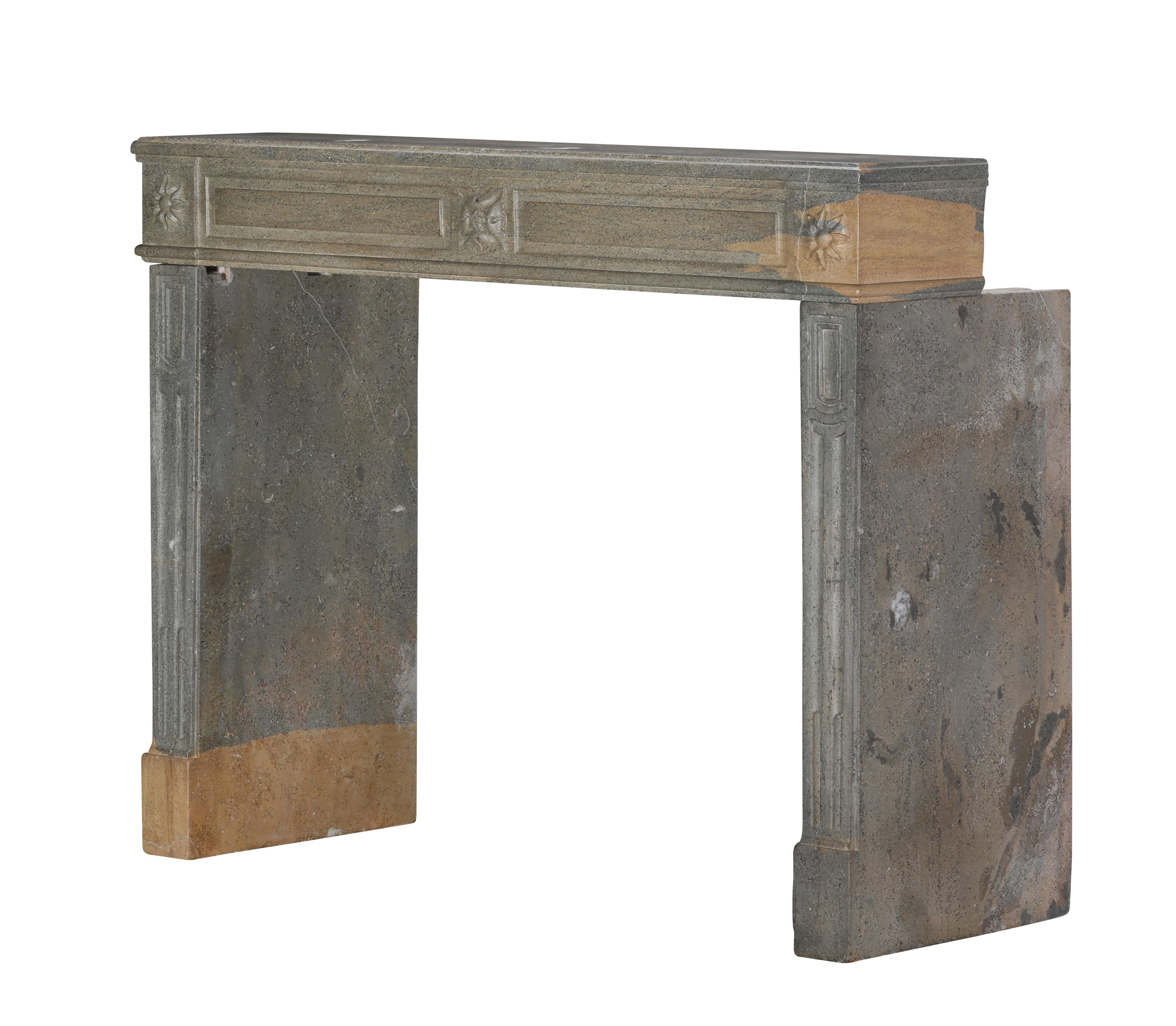 Period Louis XVI Fireplace Surround in Bicolor Hard Stone For Eclectic Design For Sale 2