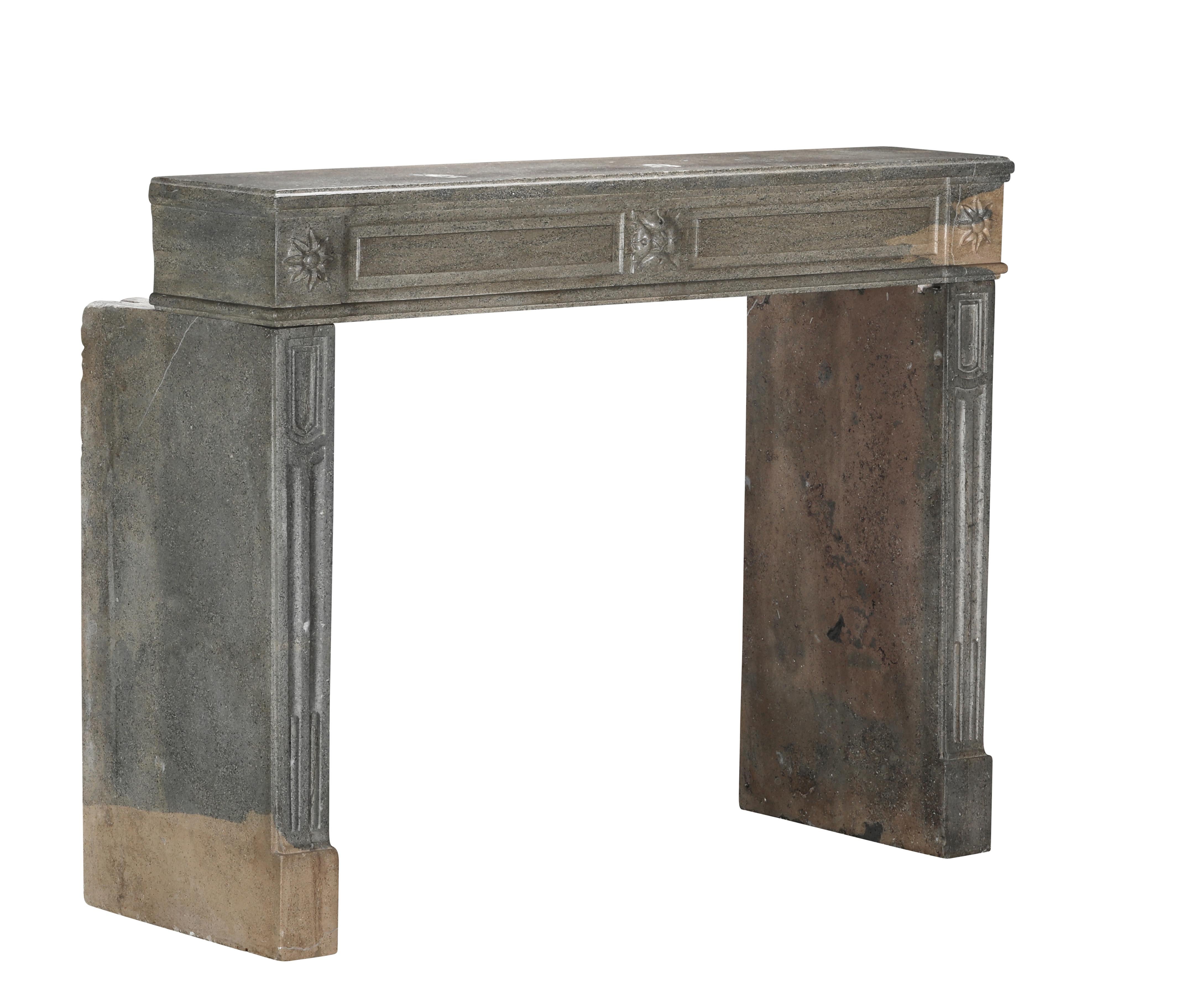 Period Louis XVI Fireplace Surround in Bicolor Hard Stone For Eclectic Design For Sale 3