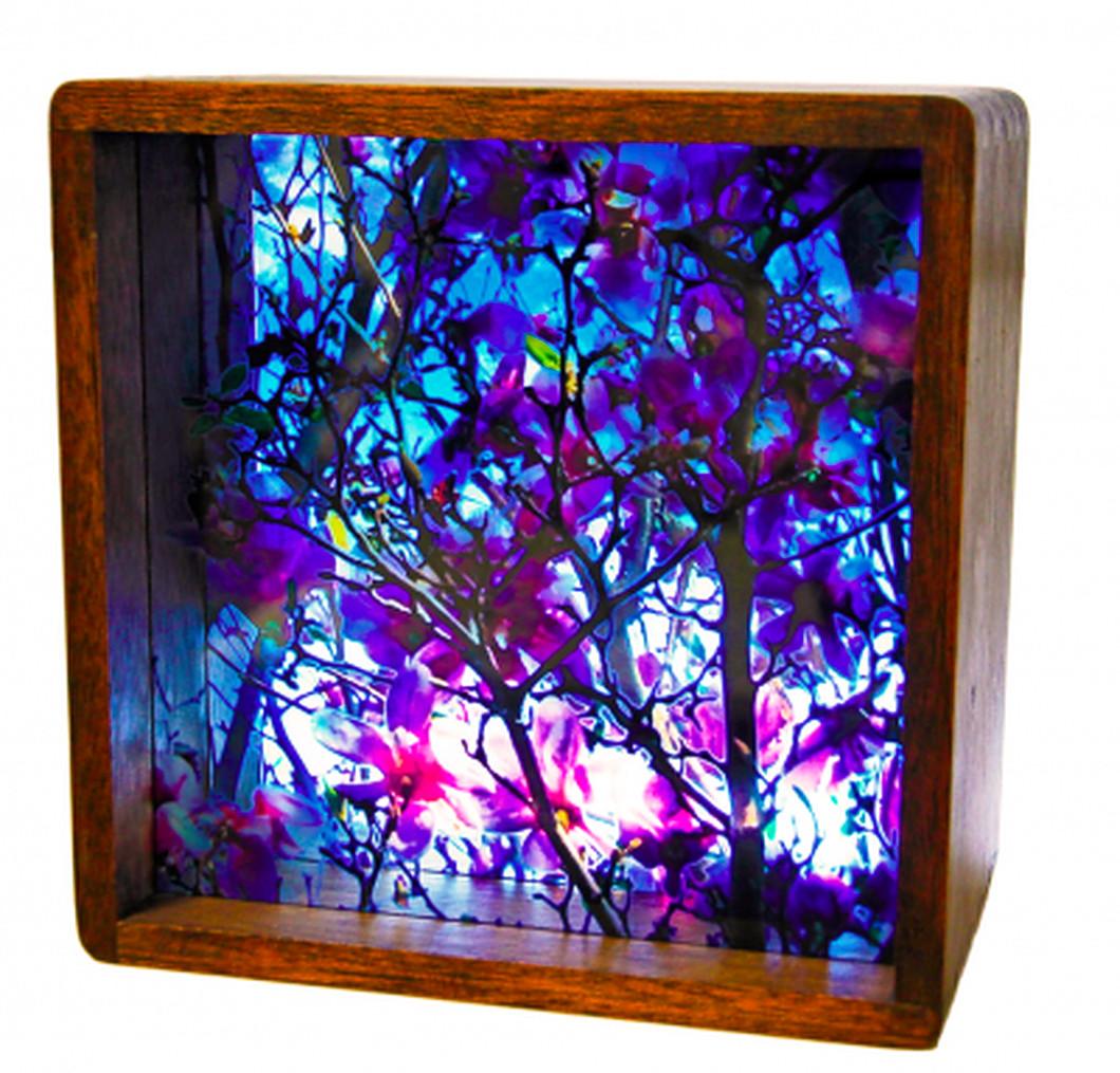 Magnolia 2