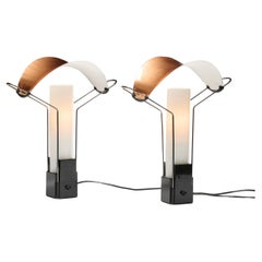 Perry A. KING & Santiago Miranda Palio model lamp for Arteluce, Italy 1985