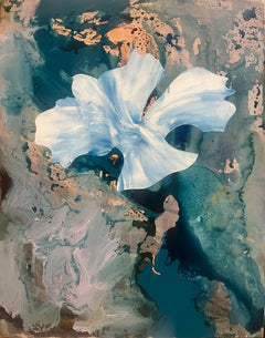Iris Major