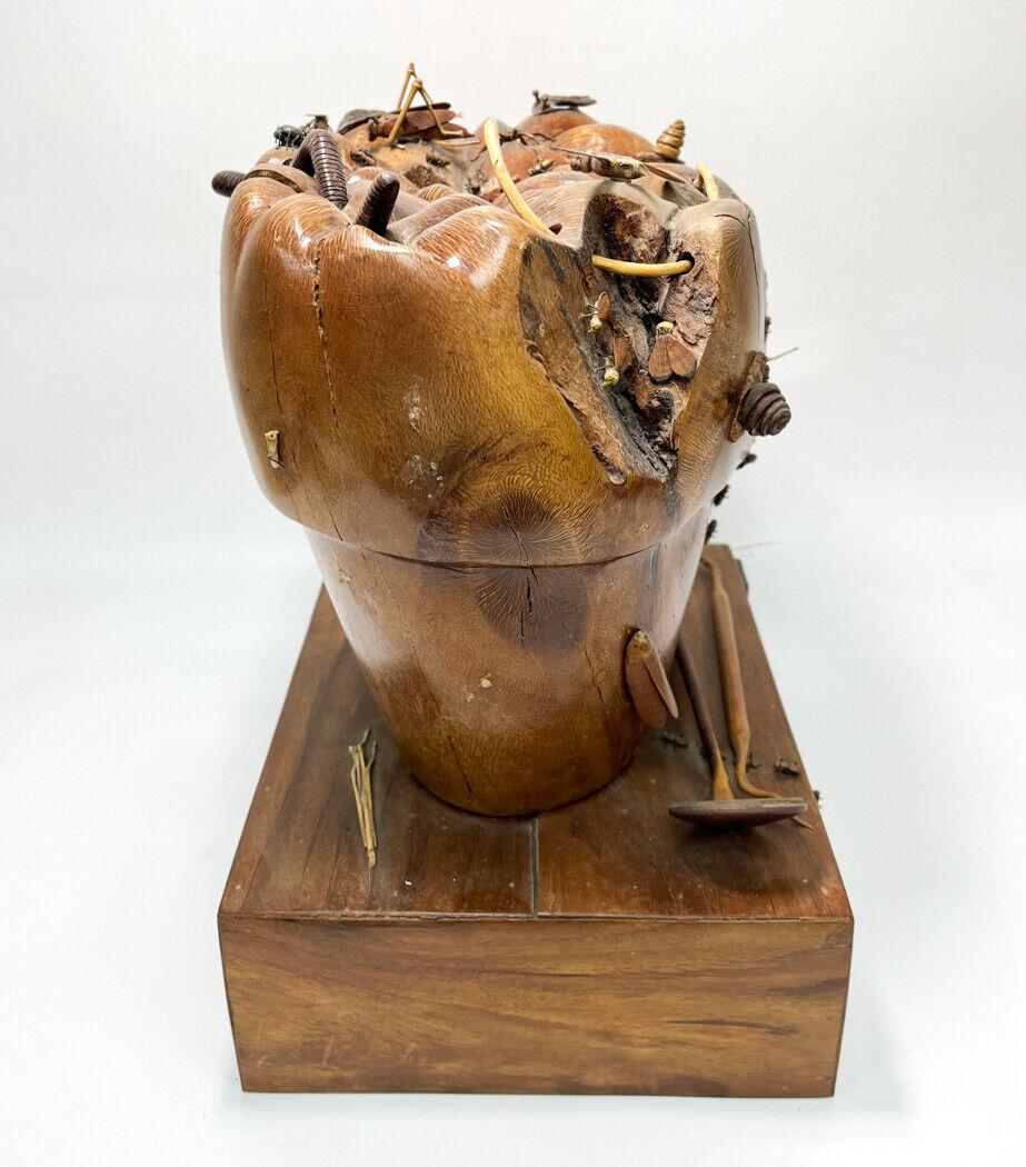 Perry Policicchio Carved Koa Wood Decaying Tooth Sculpture For Sale 2
