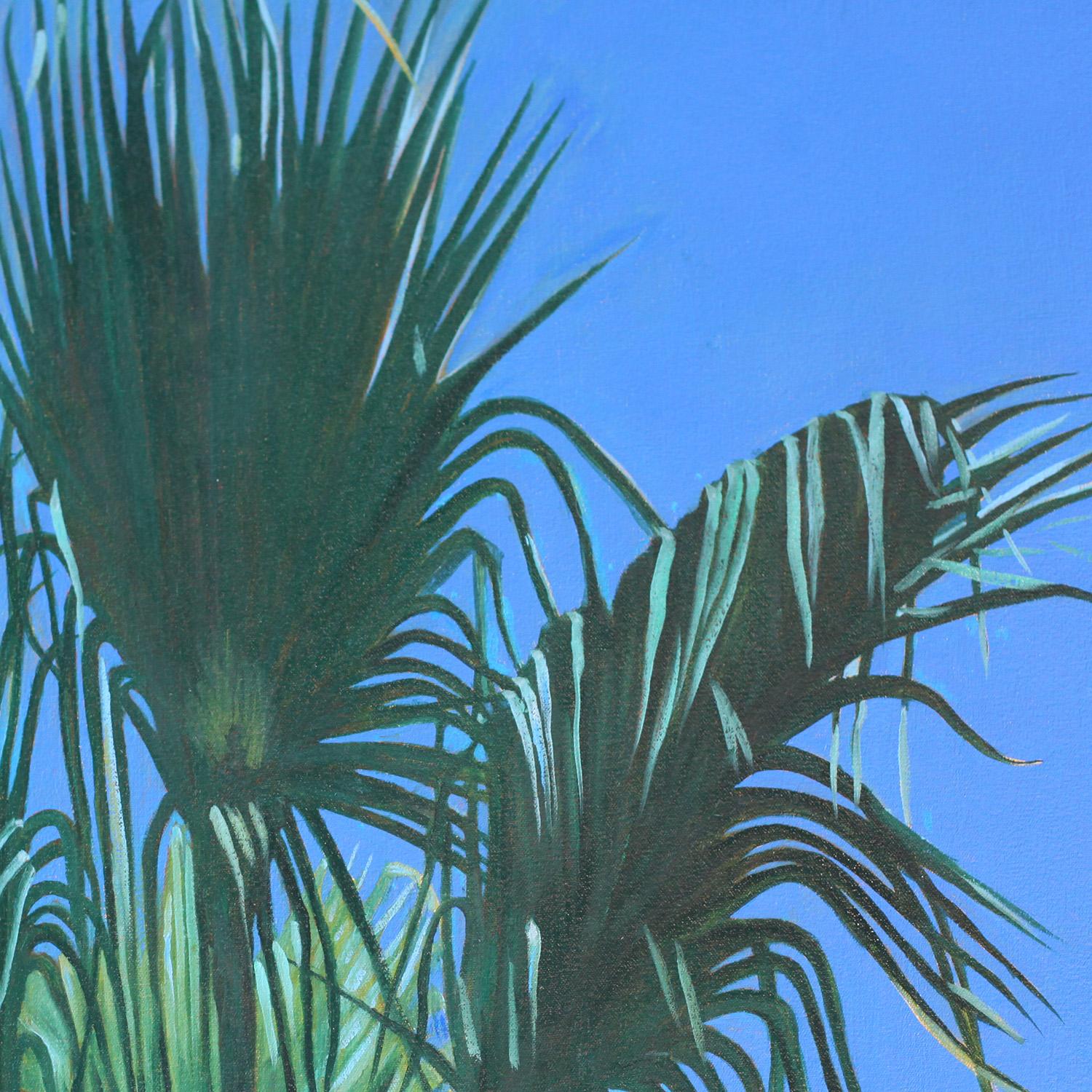 cactus palm tree