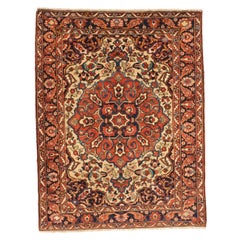 Persian Bakhtiari - 11091
