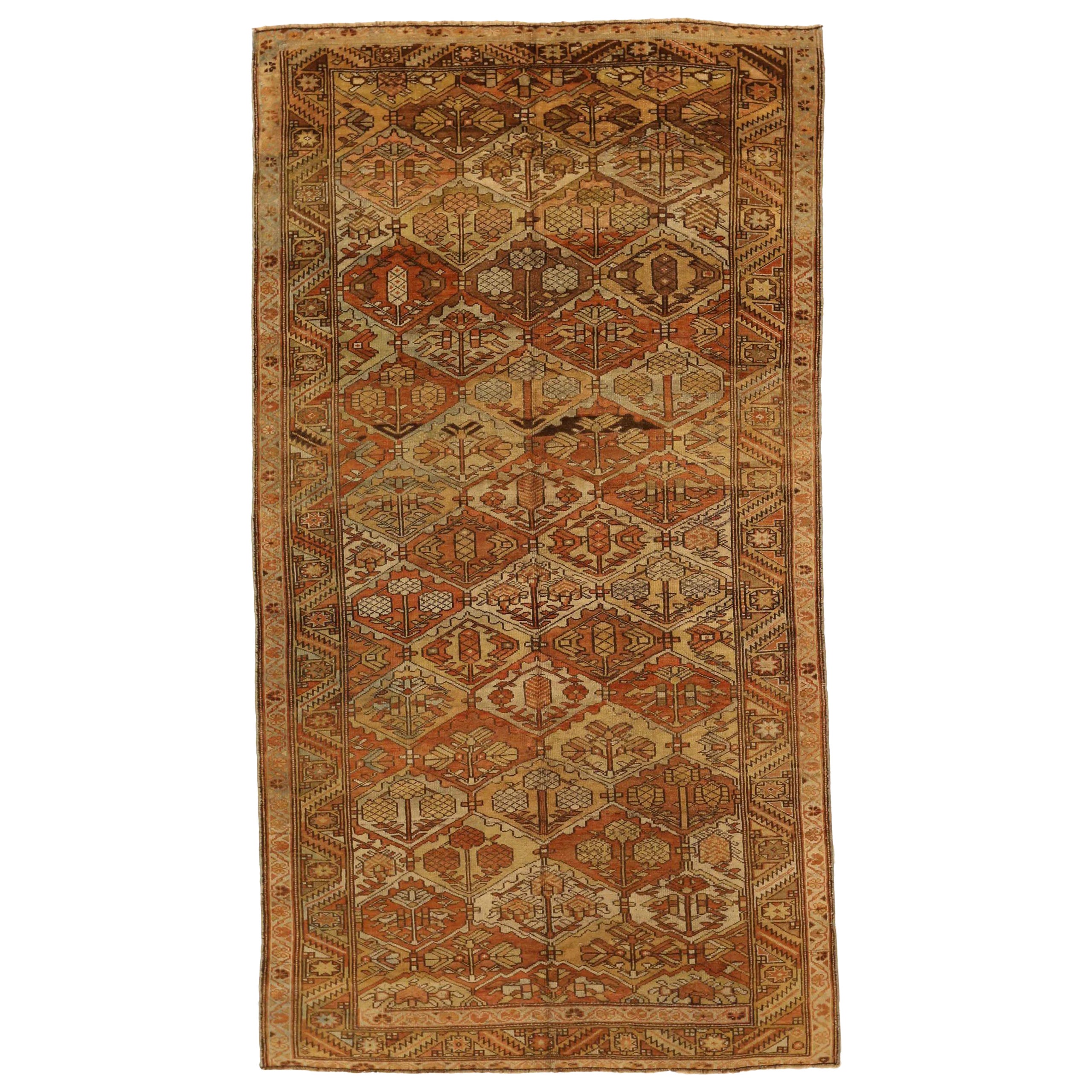 Persian Bakhtiari Area Rugs - 16353 im Angebot