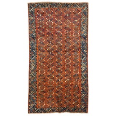 Persische Bakhtiari-Teppiche - Wolle Blau Elfenbein Rot Design - 75197
