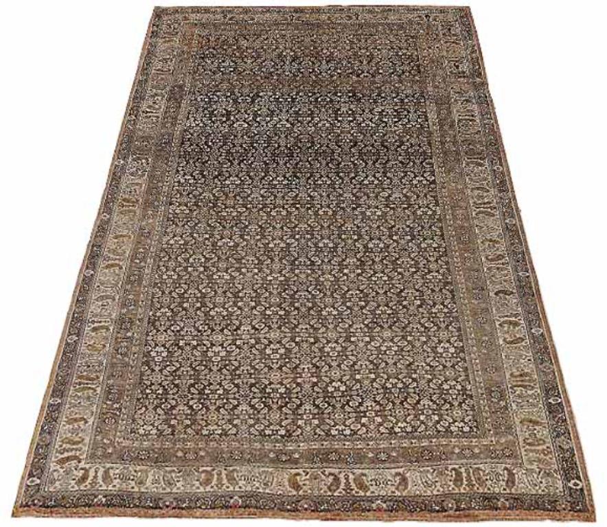 Entdecken Sie die Eleganz des persischen Bijar mit Teppichen aus der Zeit um 1880. Dieses exklusive Design aus Wolle und Braun-Elfenbein ist perfekt, um Ihren Raum zu verschönern.