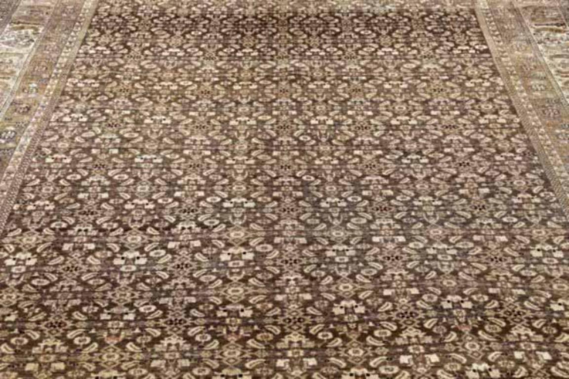 Persische Bijar Bereich Teppiche CIRCA 1880 - Wolle Brown Elfenbein Design - 91397 im Zustand „Hervorragend“ im Angebot in Dallas, TX