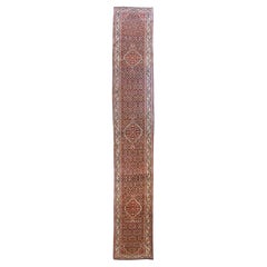 Persian Bijar Runner Rug Circa 1910 - Wool Ivory Navy Blue Red 70601