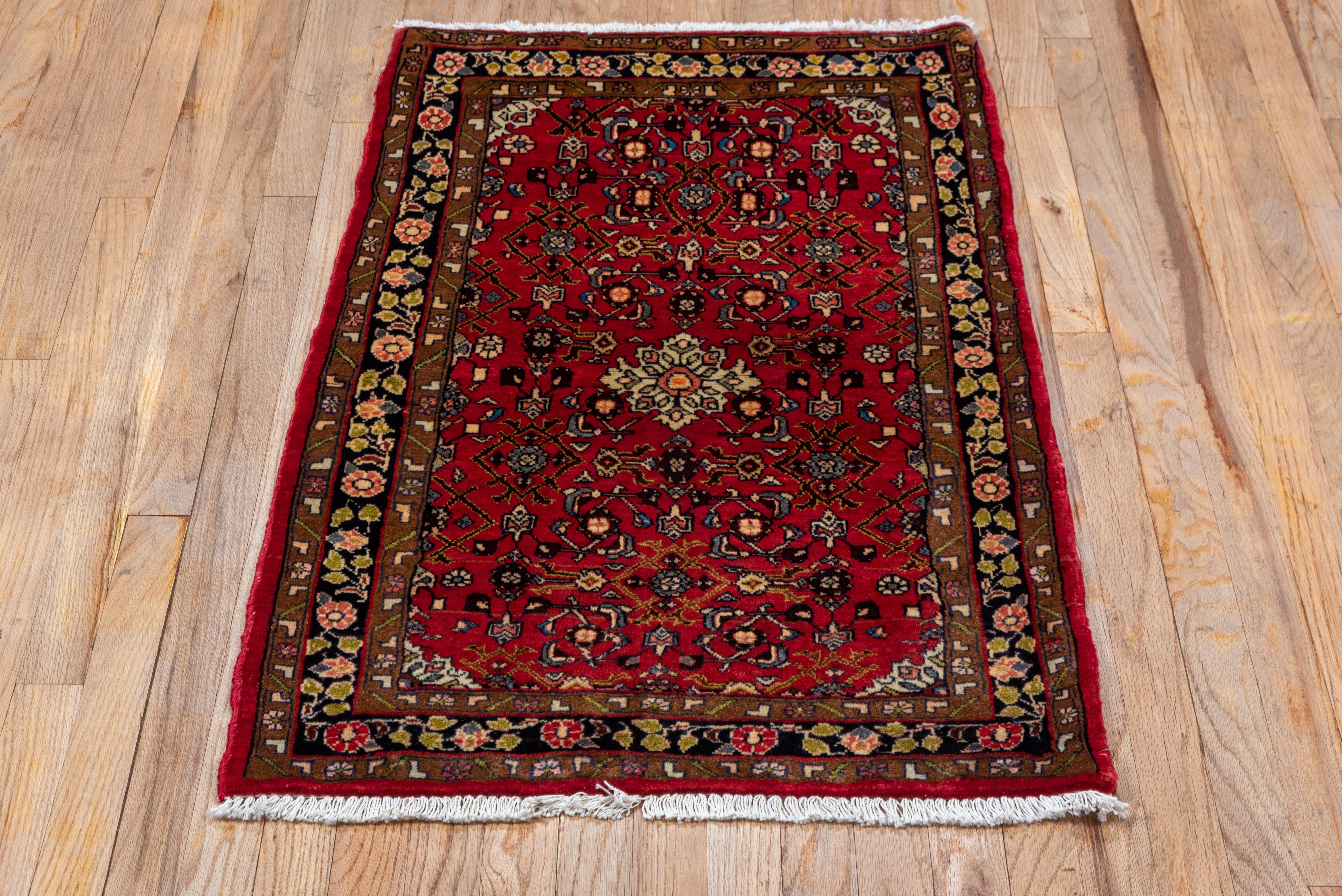 Persian Hamadan Traditional Antique with Allover Florets For Sale 1