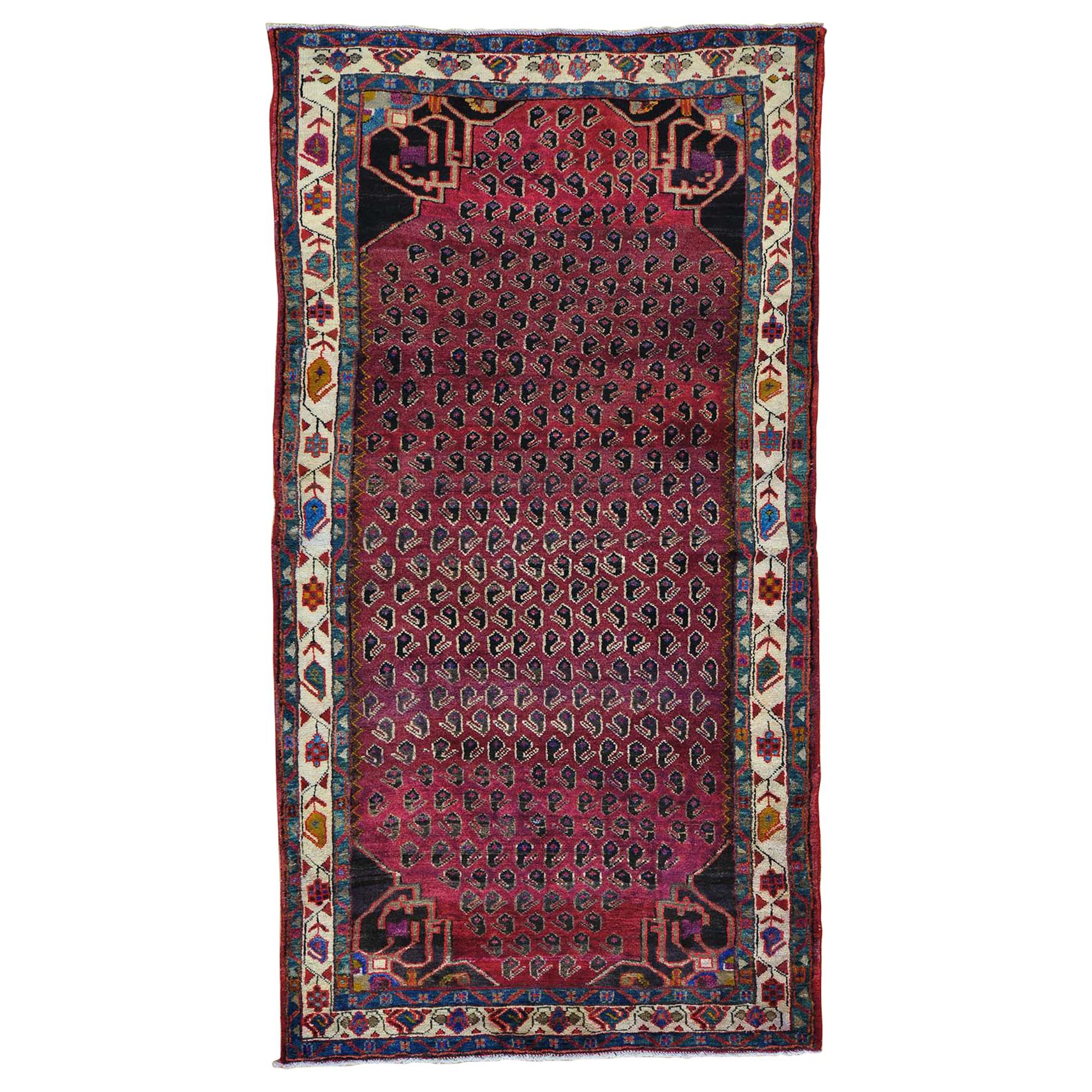 Persian Hamadan with Paisley Design Wide Runner Oriental Rug