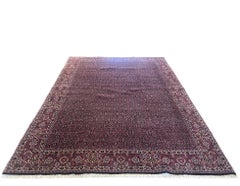 Persian Herati Fish Design Bijar Bidjar Rug