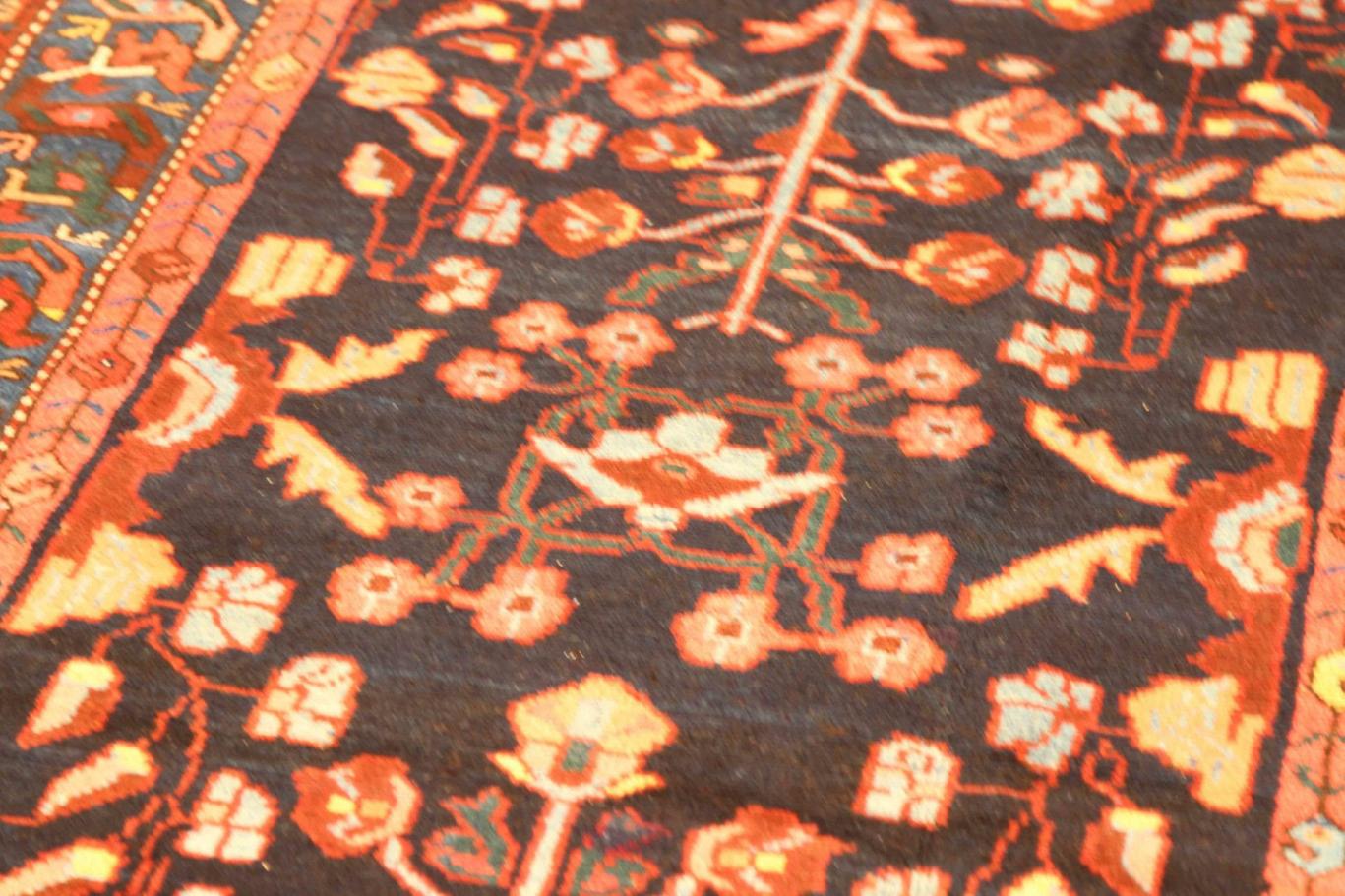 Persischer Kolyai - 70054 (Asiatisch) im Angebot