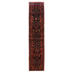Kolyai persan - 70054