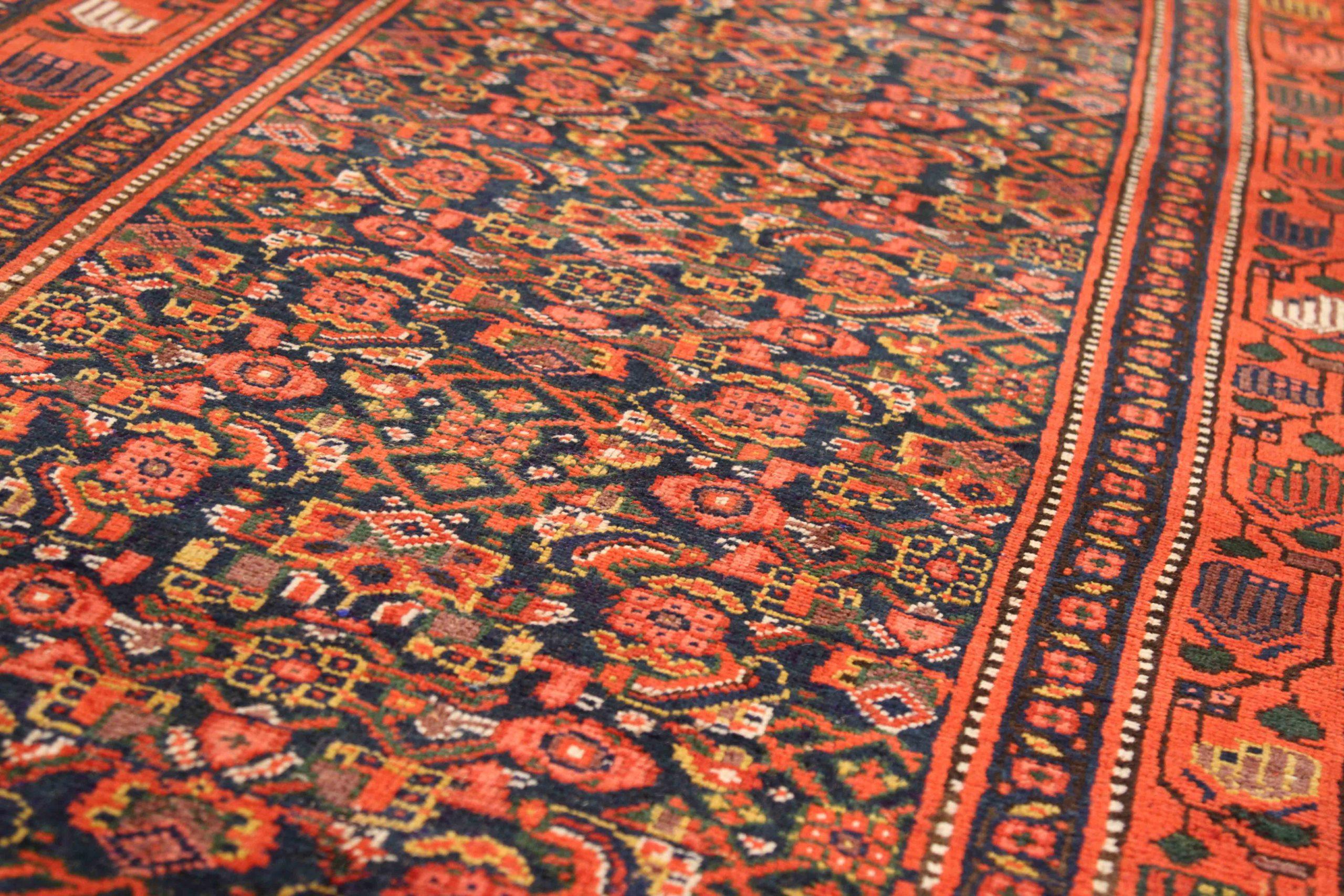 Asiatique Kolyai persan - 70436 en vente