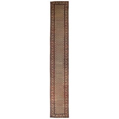 Tapis de course persan kurde Circa 1880 - 52100