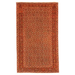 Tappeto persiano Malayer piccolo - Lana Verde Avorio Rosso 73714