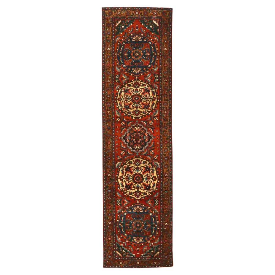 Persian Naien - 70056